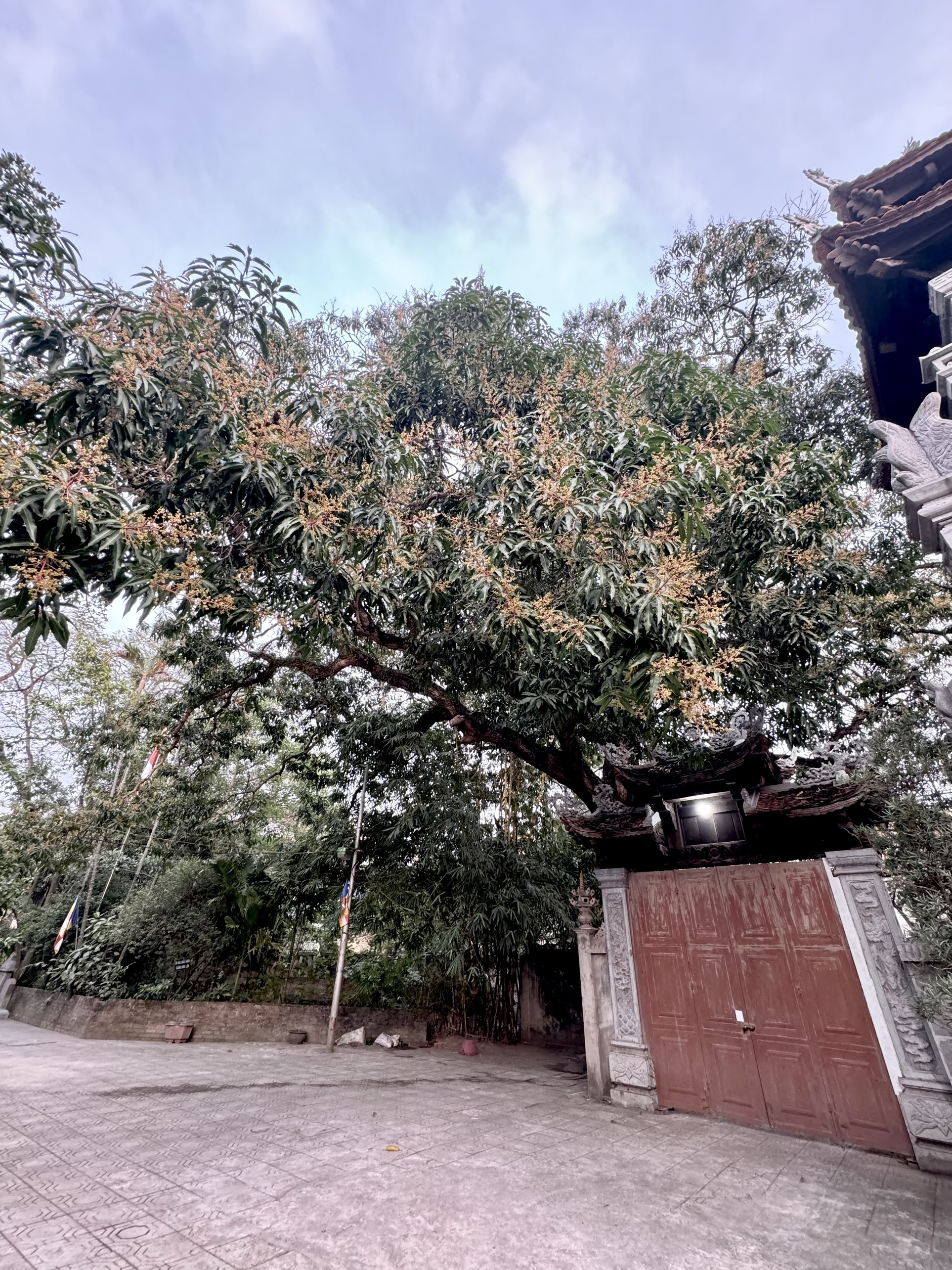 Đầu Xu&acirc;n, chi&ecirc;m ngưỡng ng&ocirc;i ch&ugrave;a cổ ngh&igrave;n năm tuổi ở Thủ đ&ocirc;- Ảnh 16.