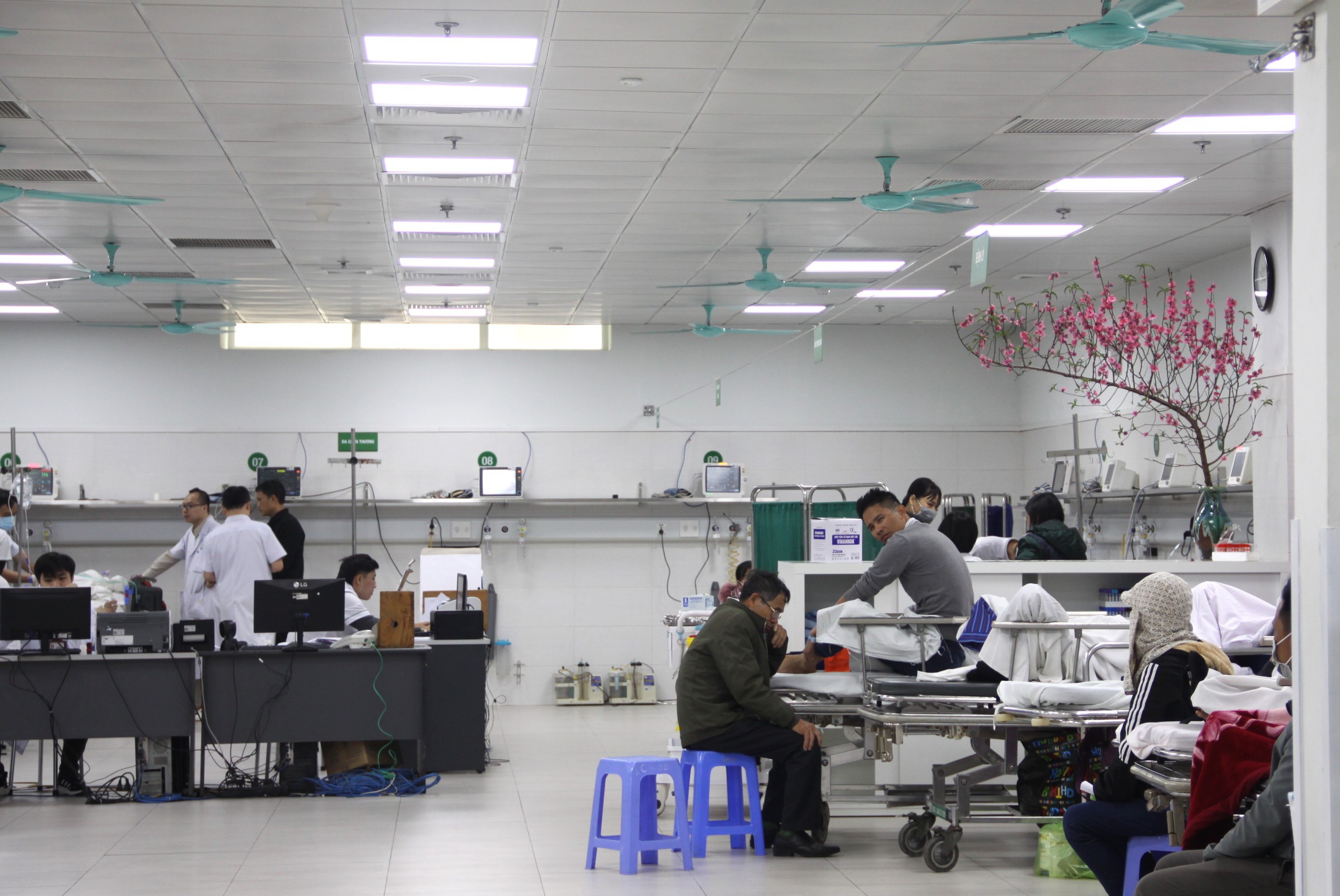 Nhiều người nhập viện, tiên lượng xấu sau tai nạn giao thông do uống rượu bia- Ảnh 1. Nhiều người nhập viện, tiên lượng xấu sau tai nạn giao thông do uống rượu bia- Ảnh 1.