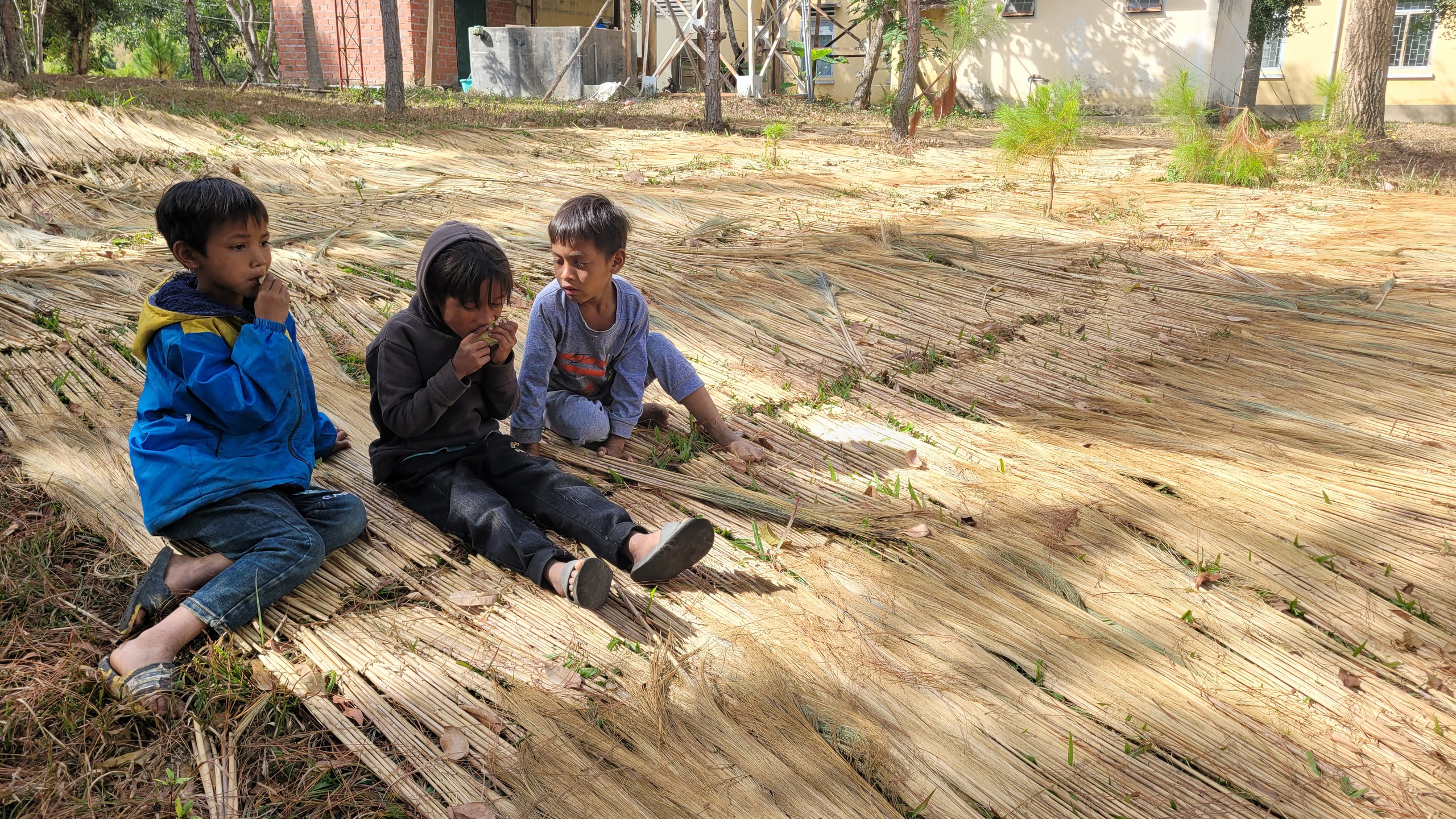 M&ugrave;a h&aacute;i 