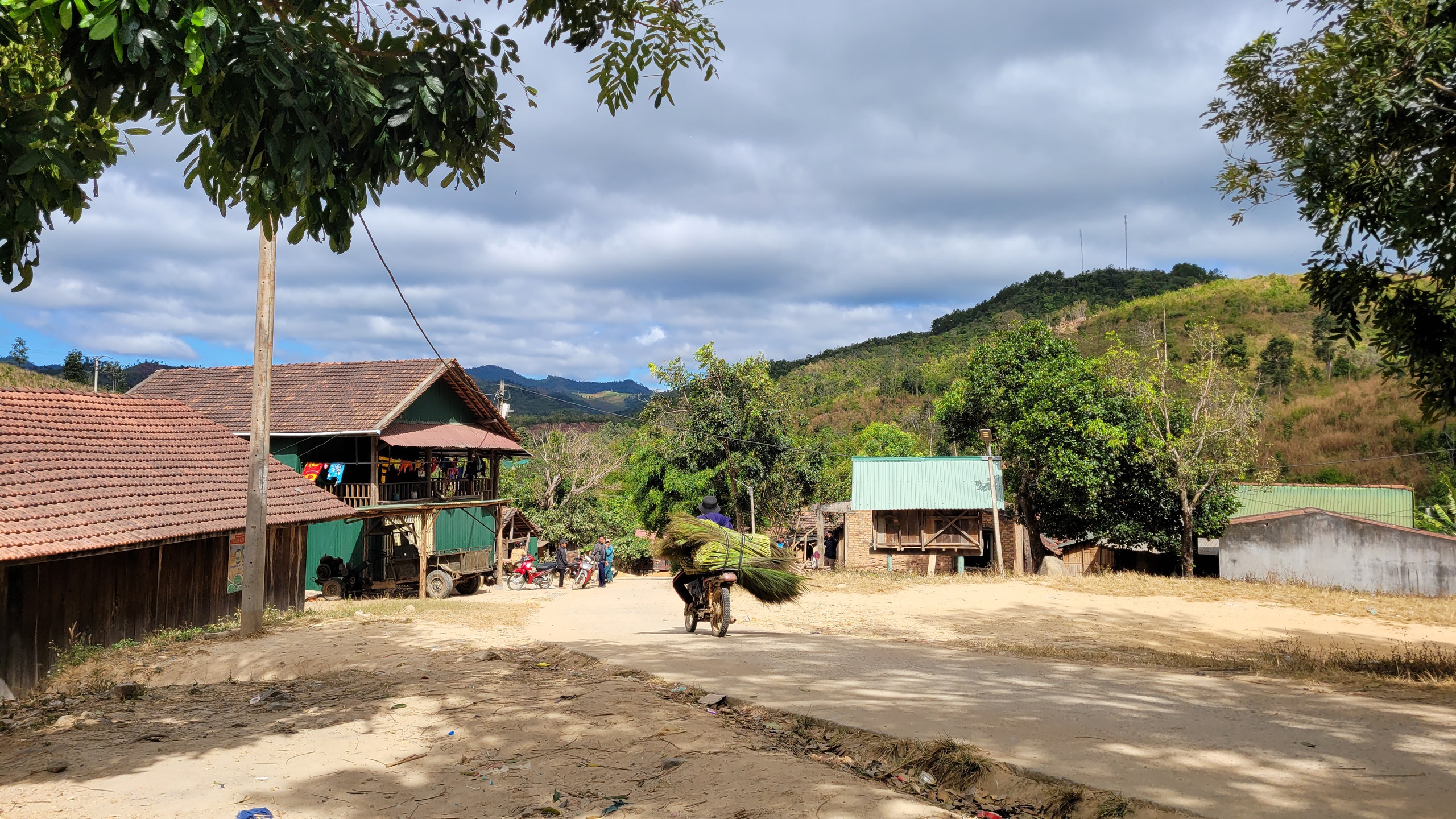 M&ugrave;a h&aacute;i 