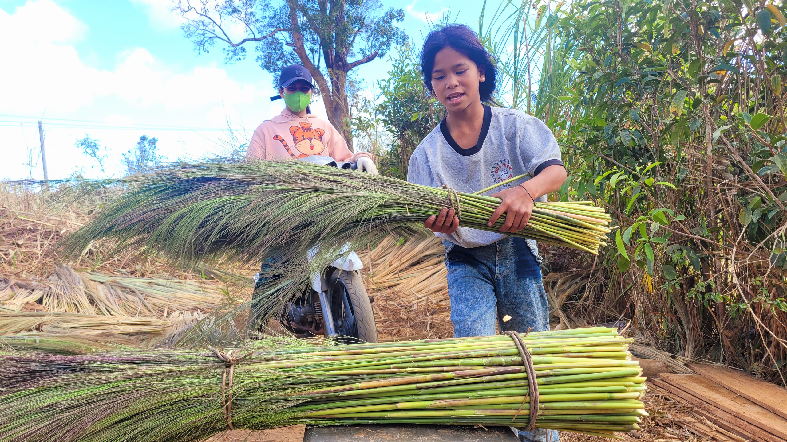 M&ugrave;a h&aacute;i 