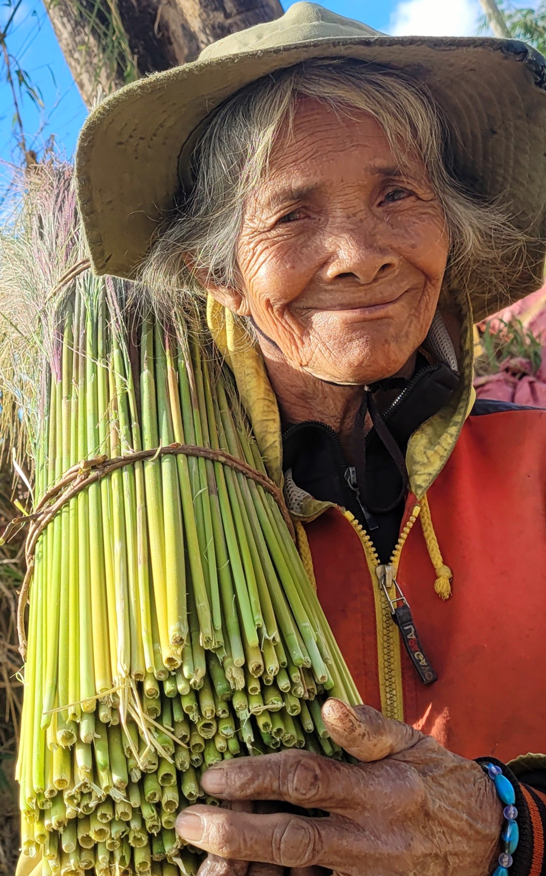 M&ugrave;a h&aacute;i 