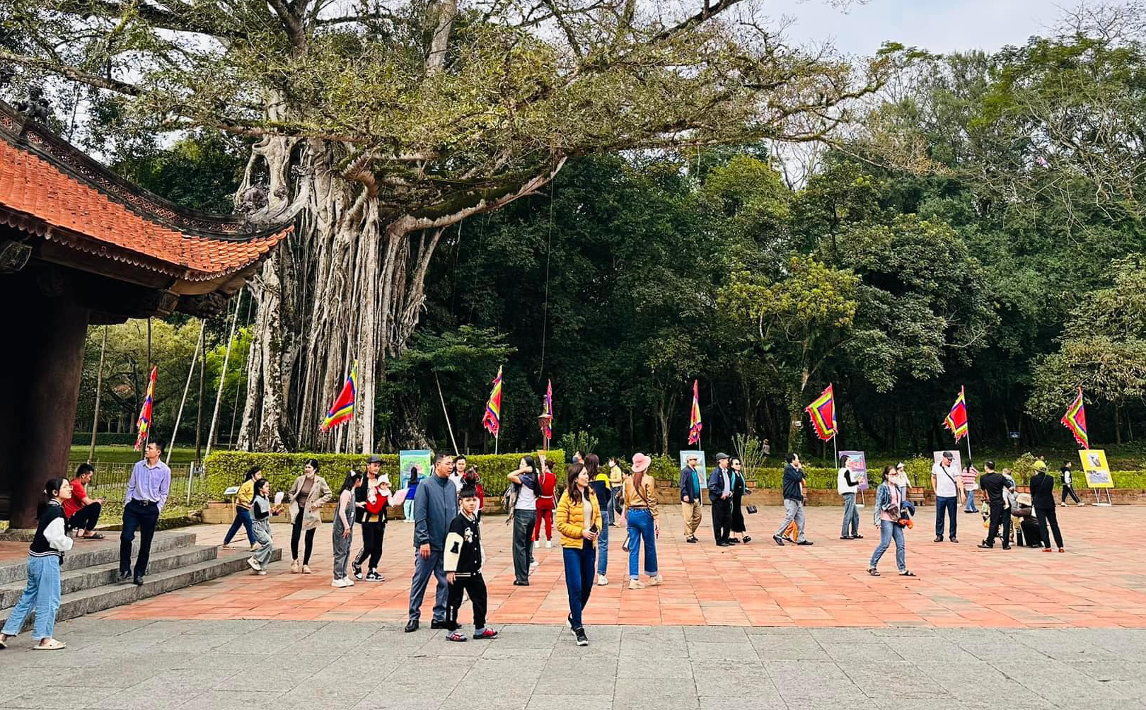 7 ng&agrave;y Tết, Thanh H&oacute;a v&agrave; Ninh B&igrave;nh thu hơn 1.400 tỷ đồng từ du lịch- Ảnh 1.