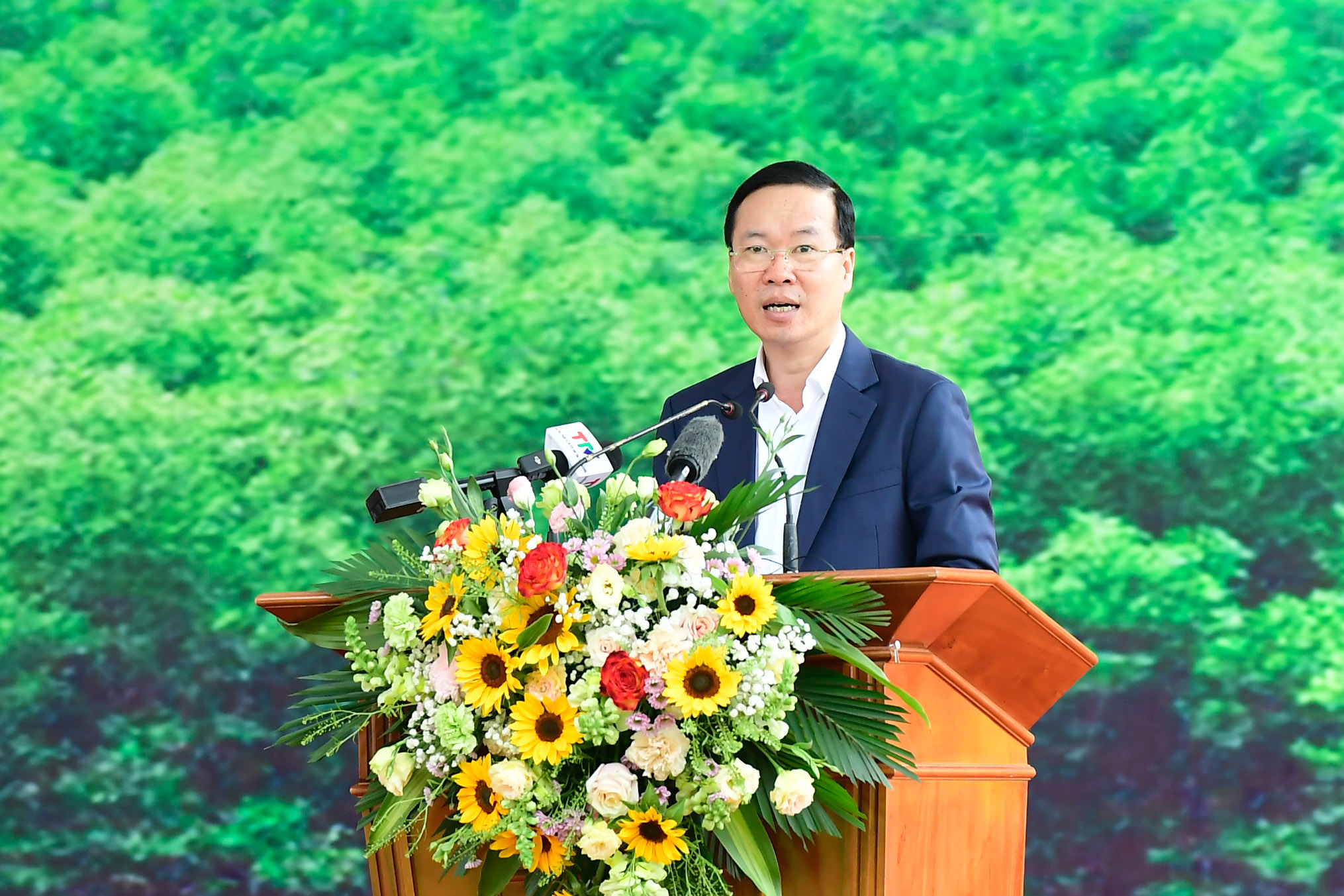 Chủ tịch nước dự Lễ ph&aacute;t động Tết trồng c&acirc;y Xu&acirc;n Gi&aacute;p Th&igrave;n 2024 tại Tuy&ecirc;n Quang- Ảnh 3.