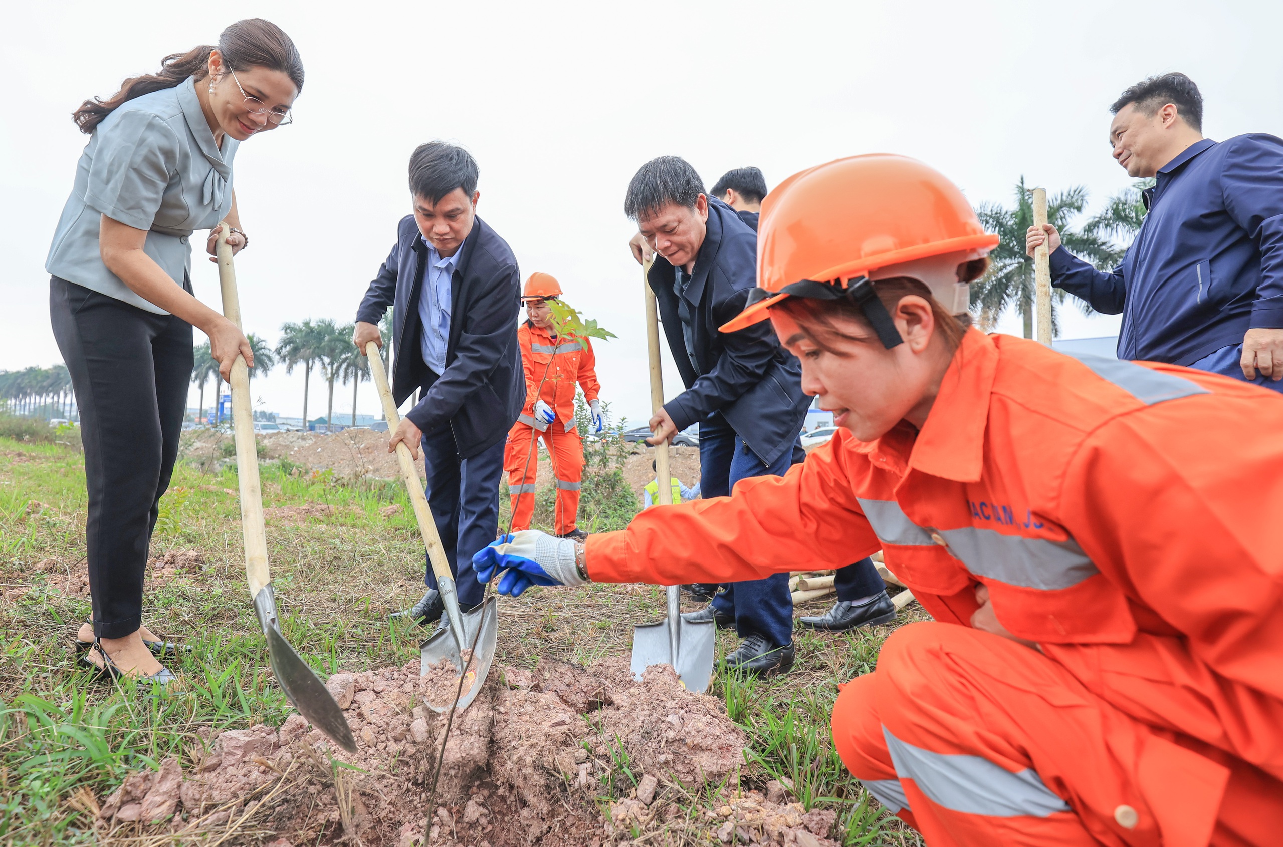 H&agrave;ng ngh&igrave;n c&acirc;y xanh được trồng dọc c&aacute;c tuyến quốc lộ sau Tết- Ảnh 1.