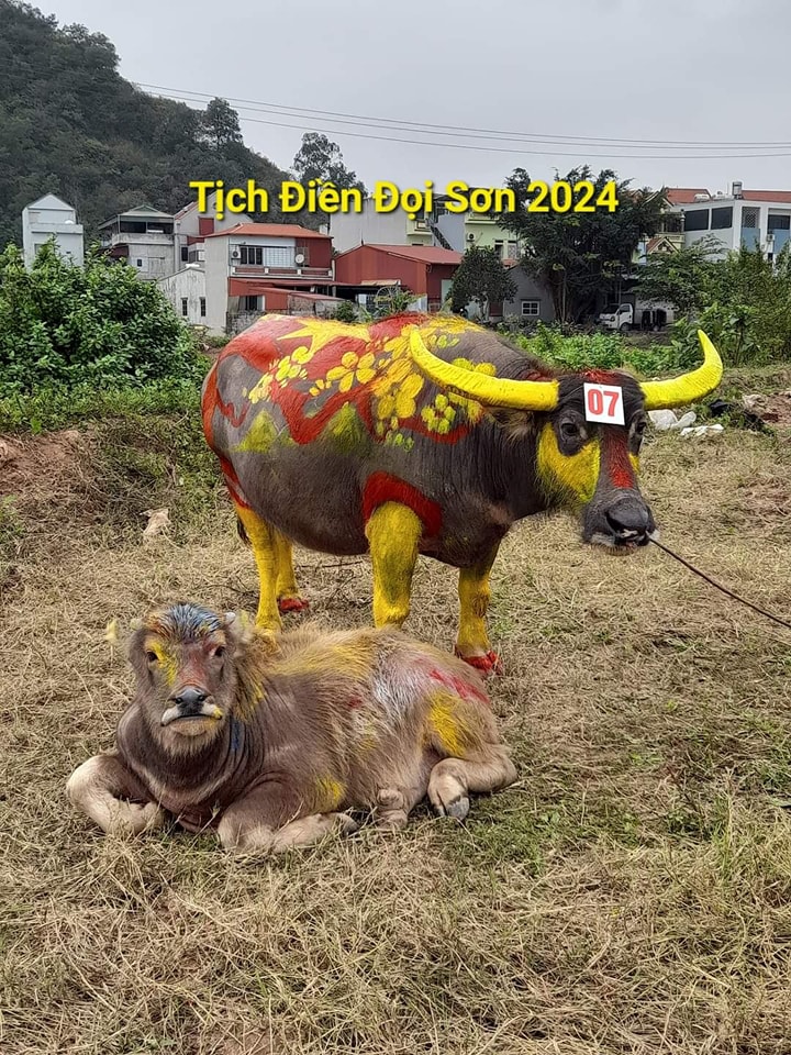 Hàng ngàn người xem vua cày ruộng tại Lễ hội Tịch điền Đọi Sơn- Ảnh 16. Hàng ngàn người xem vua cày ruộng tại Lễ hội Tịch điền Đọi Sơn- Ảnh 16.