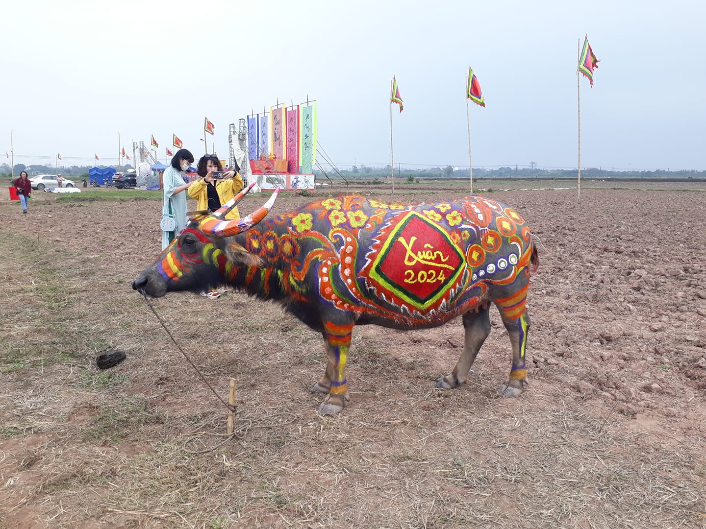 Hàng ngàn người xem vua cày ruộng tại Lễ hội Tịch điền Đọi Sơn- Ảnh 19. Hàng ngàn người xem vua cày ruộng tại Lễ hội Tịch điền Đọi Sơn- Ảnh 19.