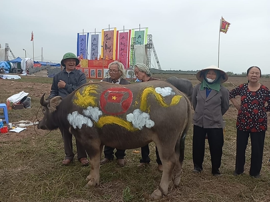 Hàng ngàn người xem vua cày ruộng tại Lễ hội Tịch điền Đọi Sơn- Ảnh 18. Hàng ngàn người xem vua cày ruộng tại Lễ hội Tịch điền Đọi Sơn- Ảnh 18.