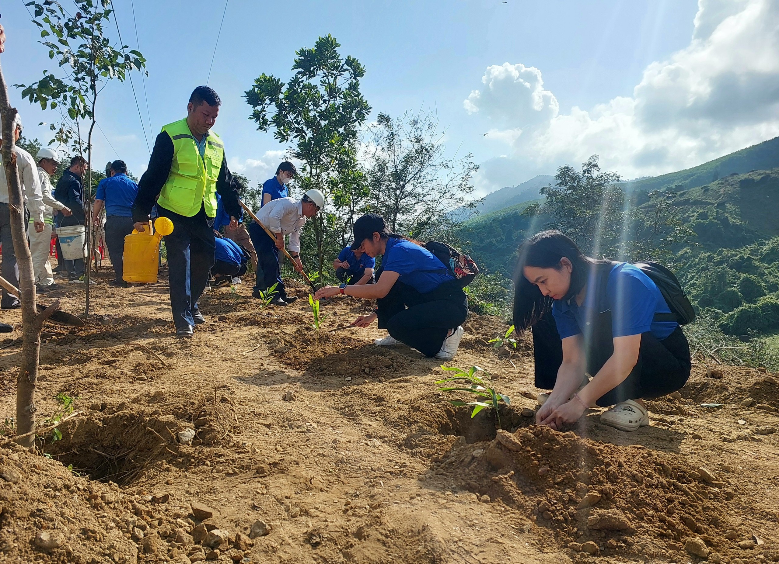 H&agrave;ng ngh&igrave;n c&acirc;y xanh được trồng dọc c&aacute;c tuyến quốc lộ sau Tết- Ảnh 9.