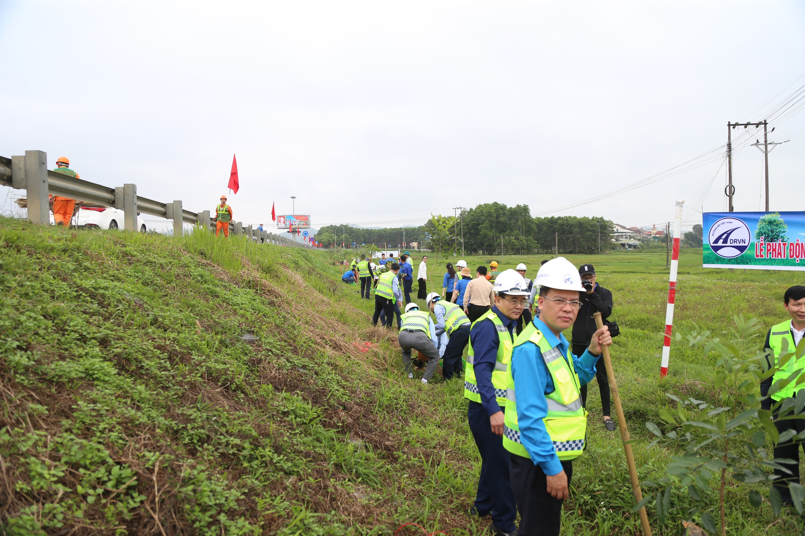 H&agrave;ng ngh&igrave;n c&acirc;y xanh được trồng dọc c&aacute;c tuyến quốc lộ sau Tết- Ảnh 6.