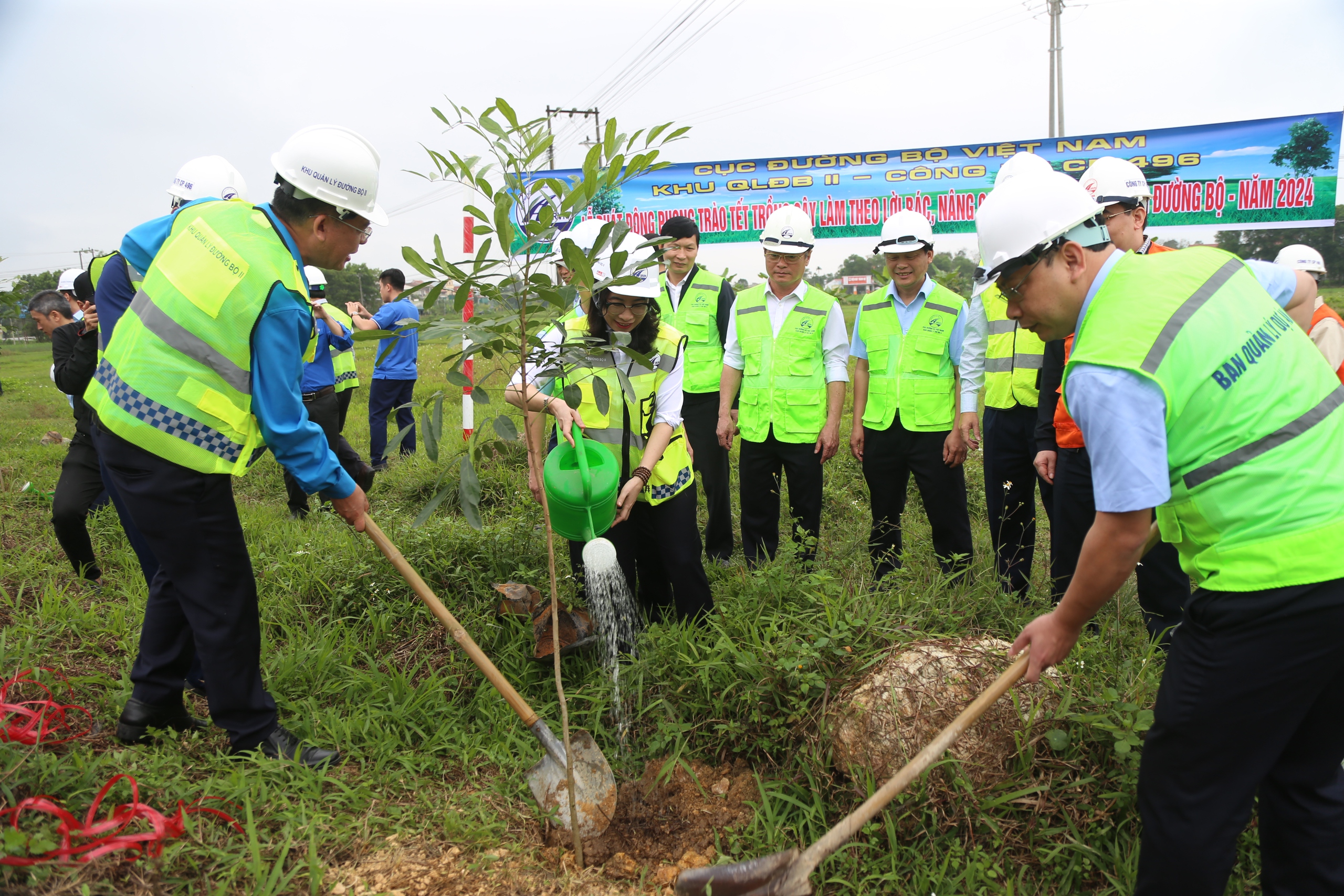 H&agrave;ng ngh&igrave;n c&acirc;y xanh được trồng dọc c&aacute;c tuyến quốc lộ sau Tết- Ảnh 2.