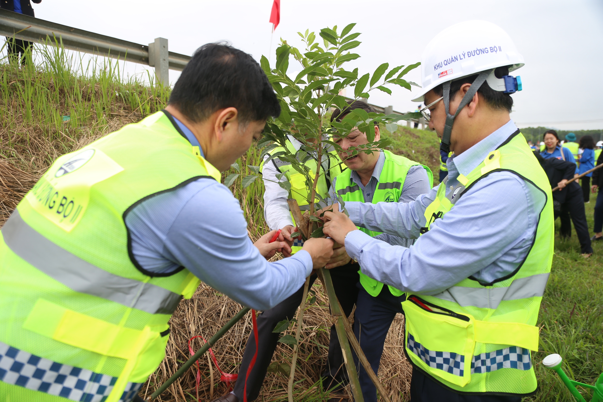 H&agrave;ng ngh&igrave;n c&acirc;y xanh được trồng dọc c&aacute;c tuyến quốc lộ sau Tết- Ảnh 4.