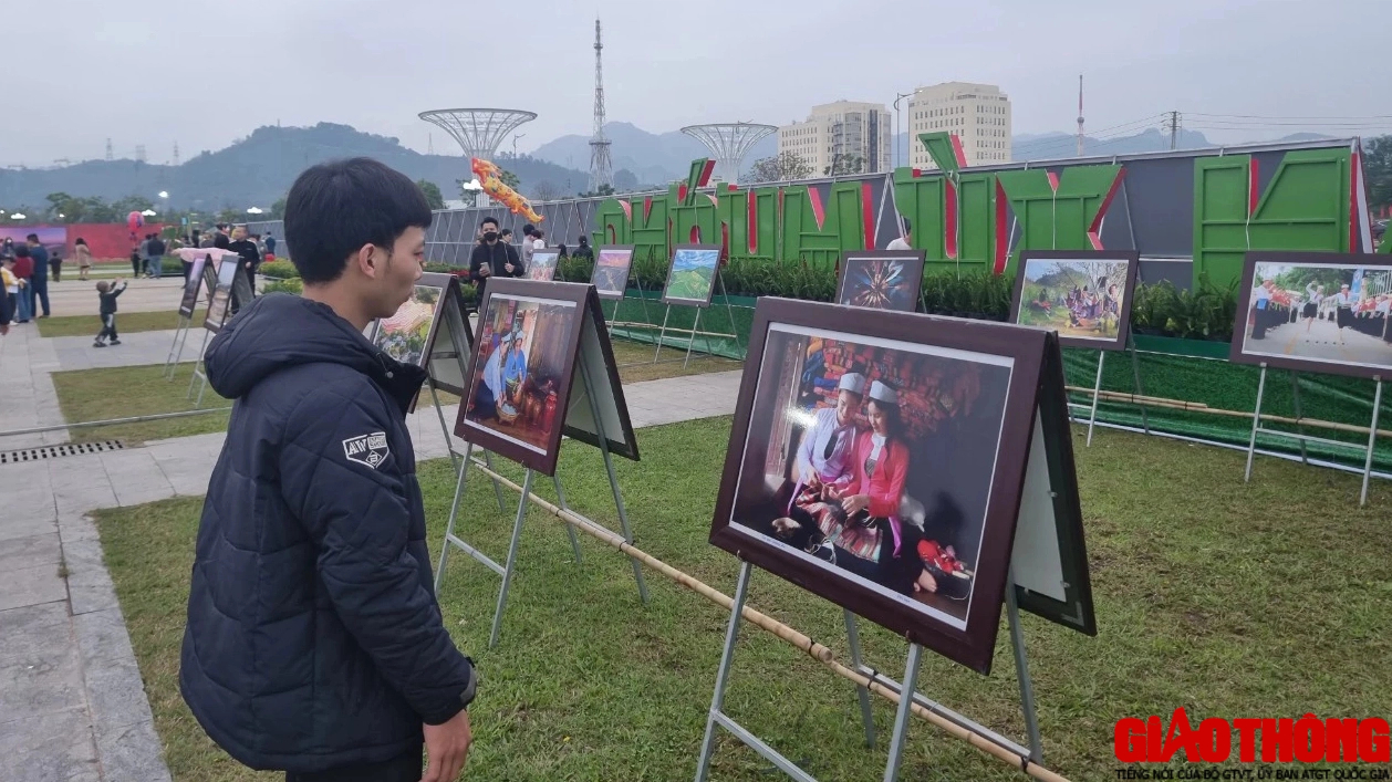 Trầm trồ trước linh vật Trầm trồ trước linh vật