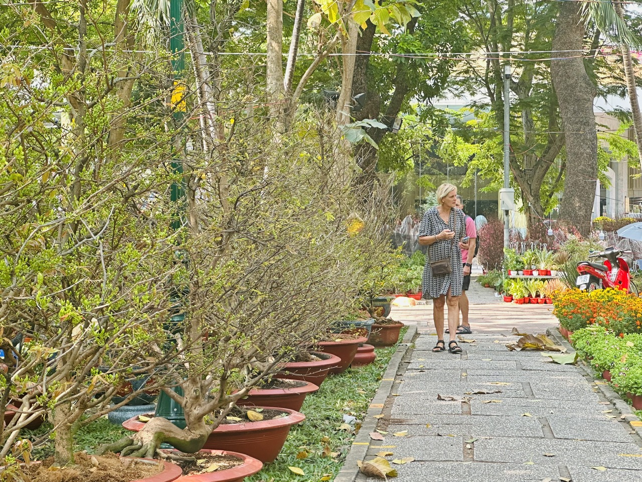 Sắp Tết, thị trường hoa ở TP.HCM vẫn k&eacute;m sắc- Ảnh 8.