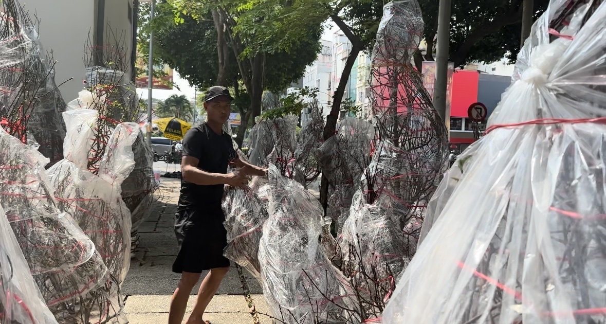 Sắp Tết, thị trường hoa ở TP.HCM vẫn k&eacute;m sắc- Ảnh 5.