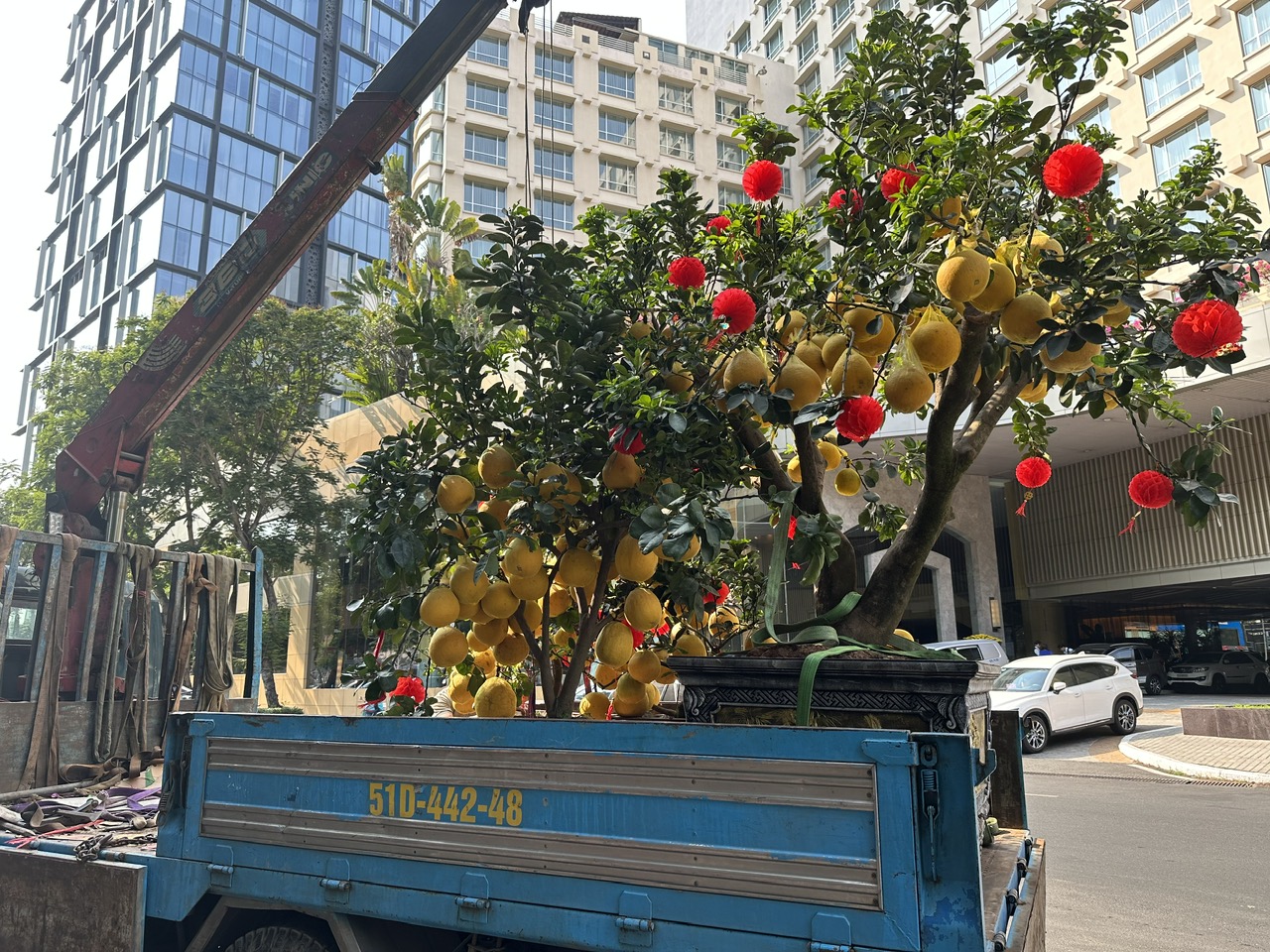 Sắp Tết, thị trường hoa ở TP.HCM vẫn k&eacute;m sắc- Ảnh 7.