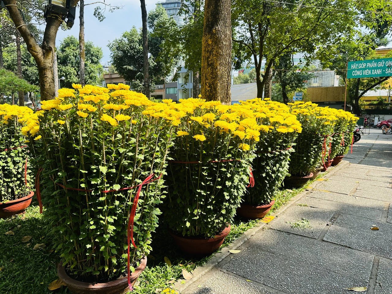 Sắp Tết, thị trường hoa ở TP.HCM vẫn k&eacute;m sắc- Ảnh 1.