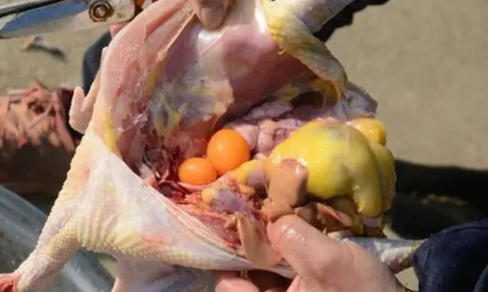 Luộc g&agrave; bằng nước s&ocirc;i hay nước l&atilde; mới đ&uacute;ng, c&aacute;ch n&agrave;y g&agrave; kh&ocirc;ng bị n&aacute;t, ngọt thịt- Ảnh 2.