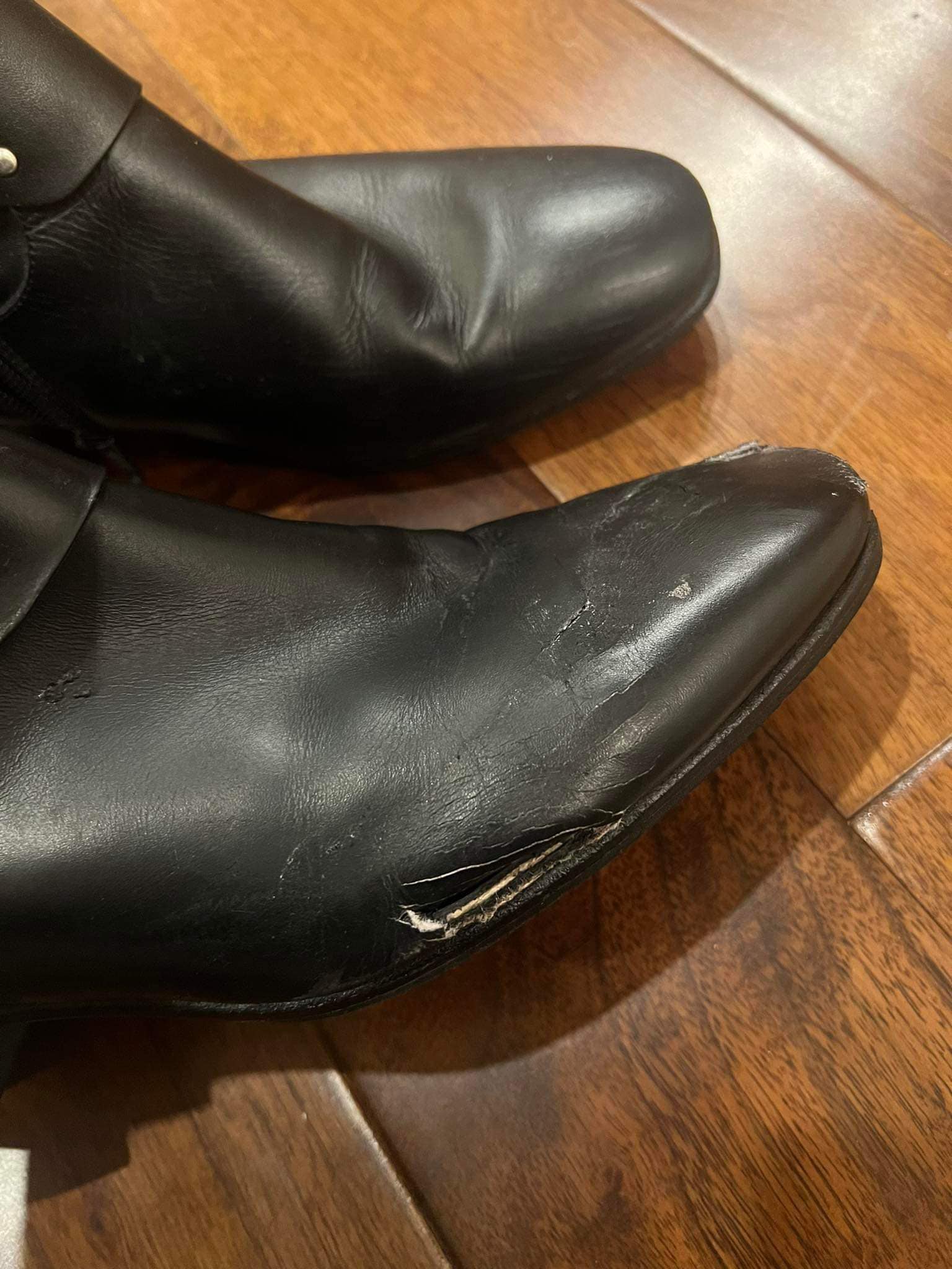 Mr Đ&agrave;m dời liveshow v&igrave; ng&atilde; từ tr&ecirc;n cao khi biểu diễn tại Mỹ- Ảnh 2.