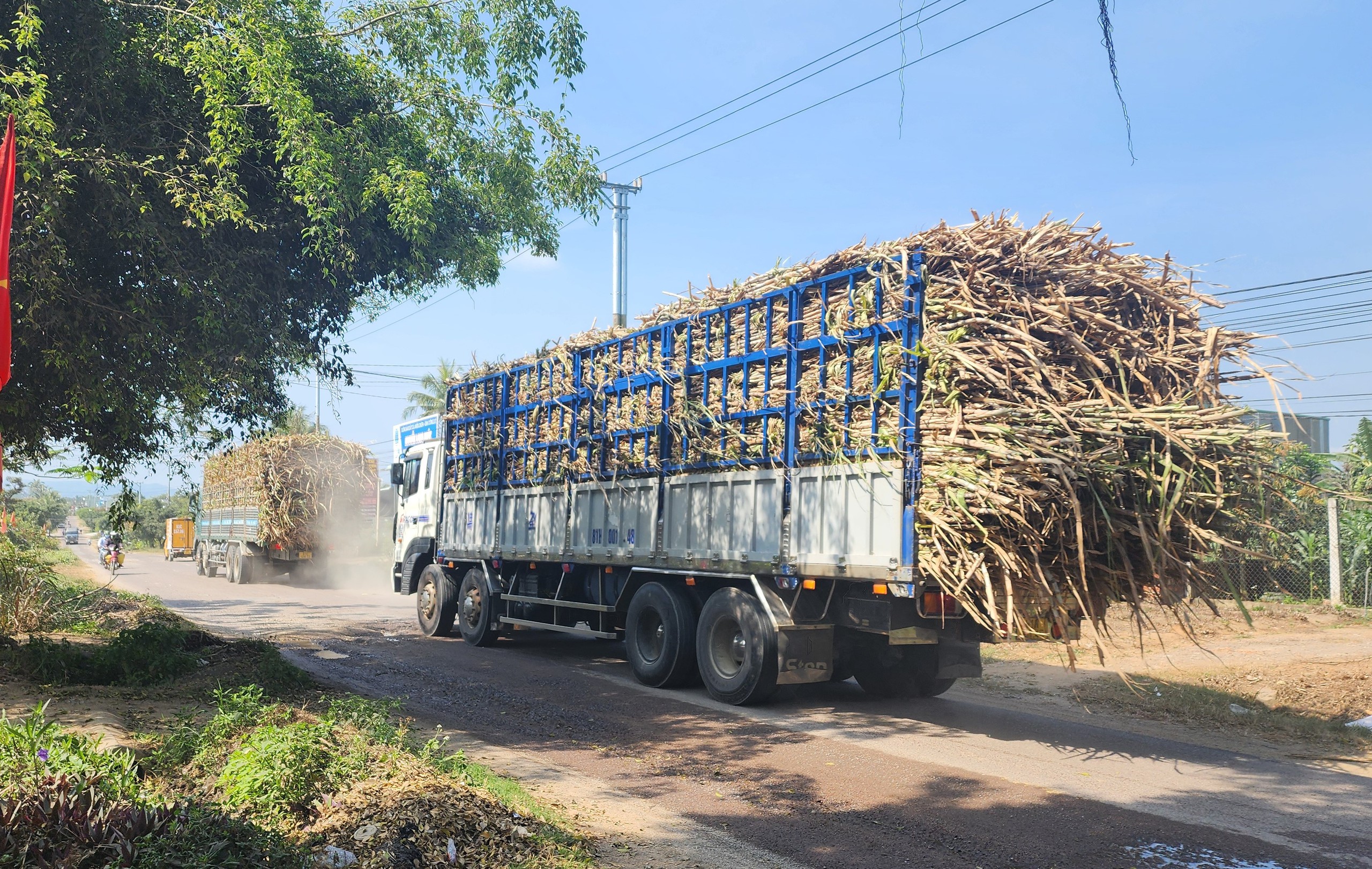 Xe chở m&iacute;a qu&aacute; khổ v&ocirc; tư 