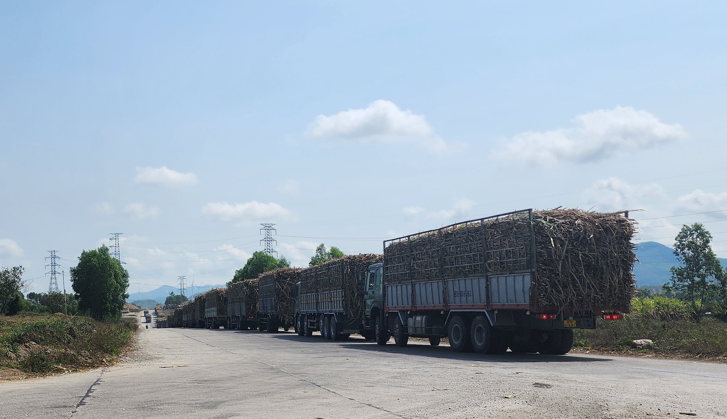 Xe chở m&iacute;a qu&aacute; khổ v&ocirc; tư 