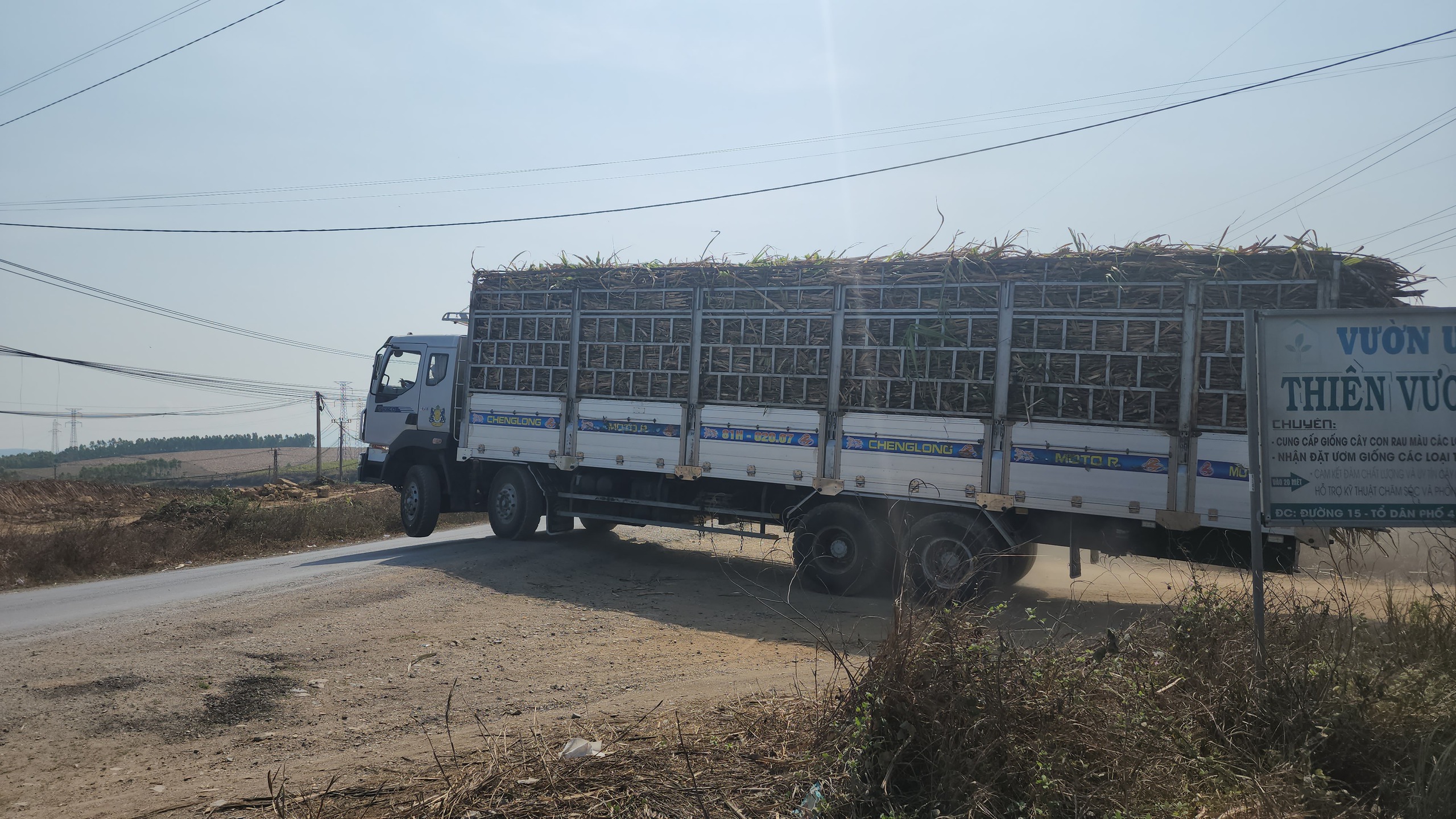 Xe chở m&iacute;a qu&aacute; khổ v&ocirc; tư 