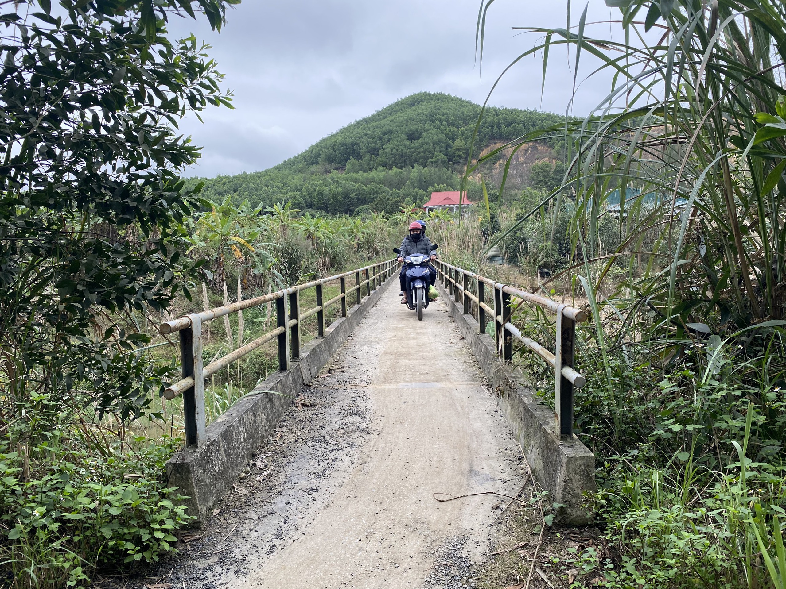 Cận cảnh 