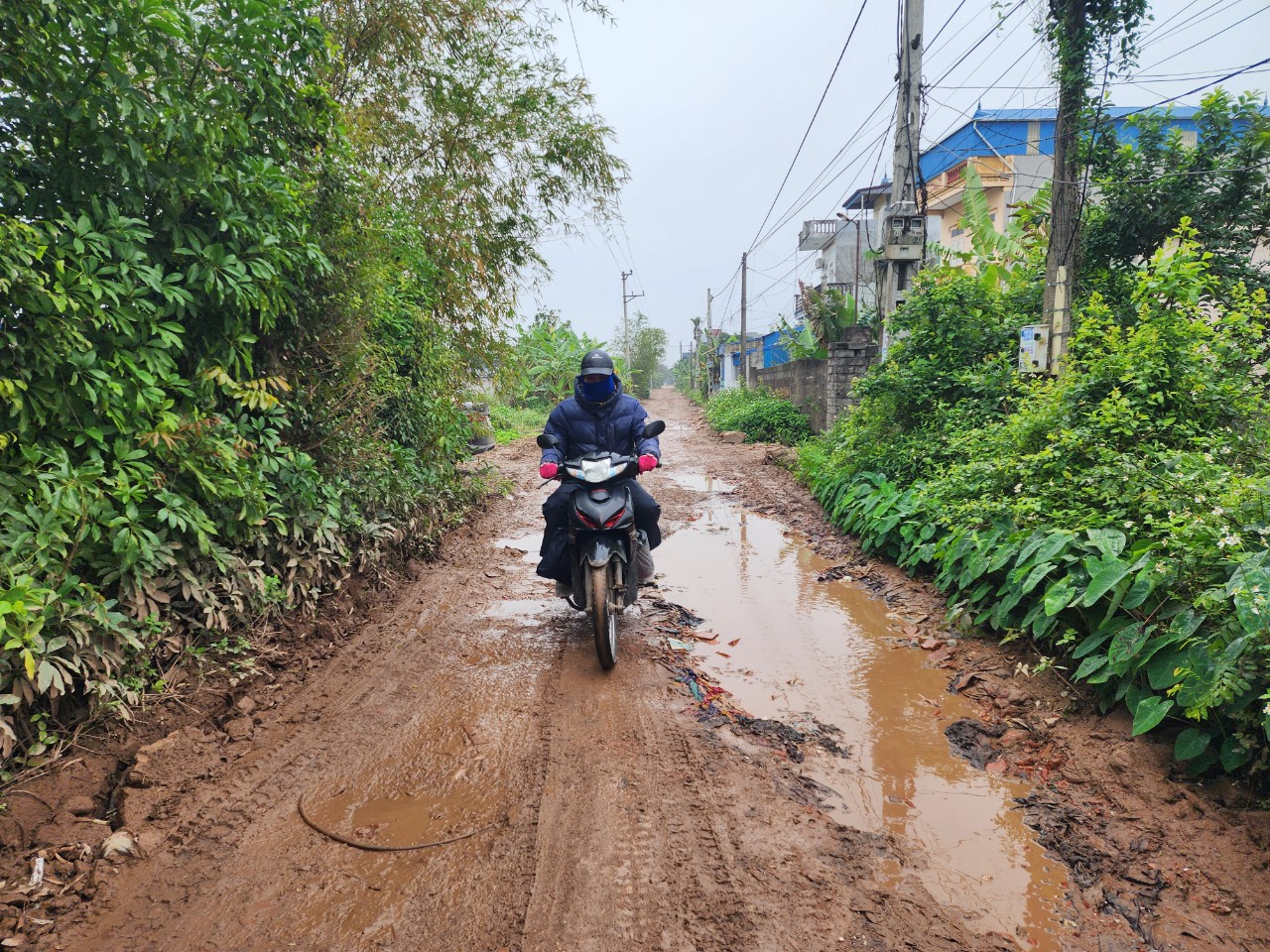 Nam Định: Người d&acirc;n 