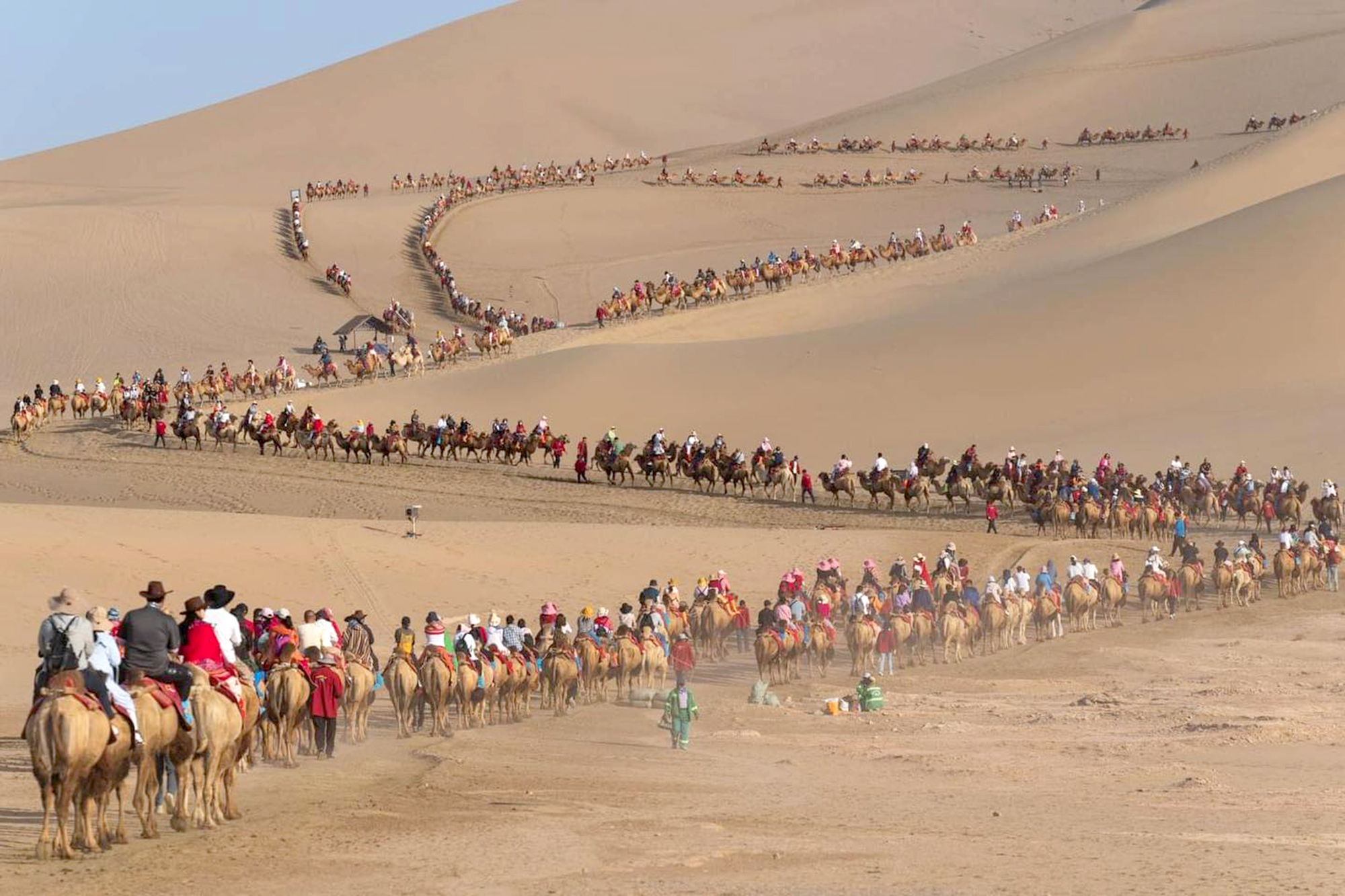 Kỳ lạ lắp đ&egrave;n giao th&ocirc;ng tr&ecirc;n sa mạc cho lạc đ&agrave;- Ảnh 2.