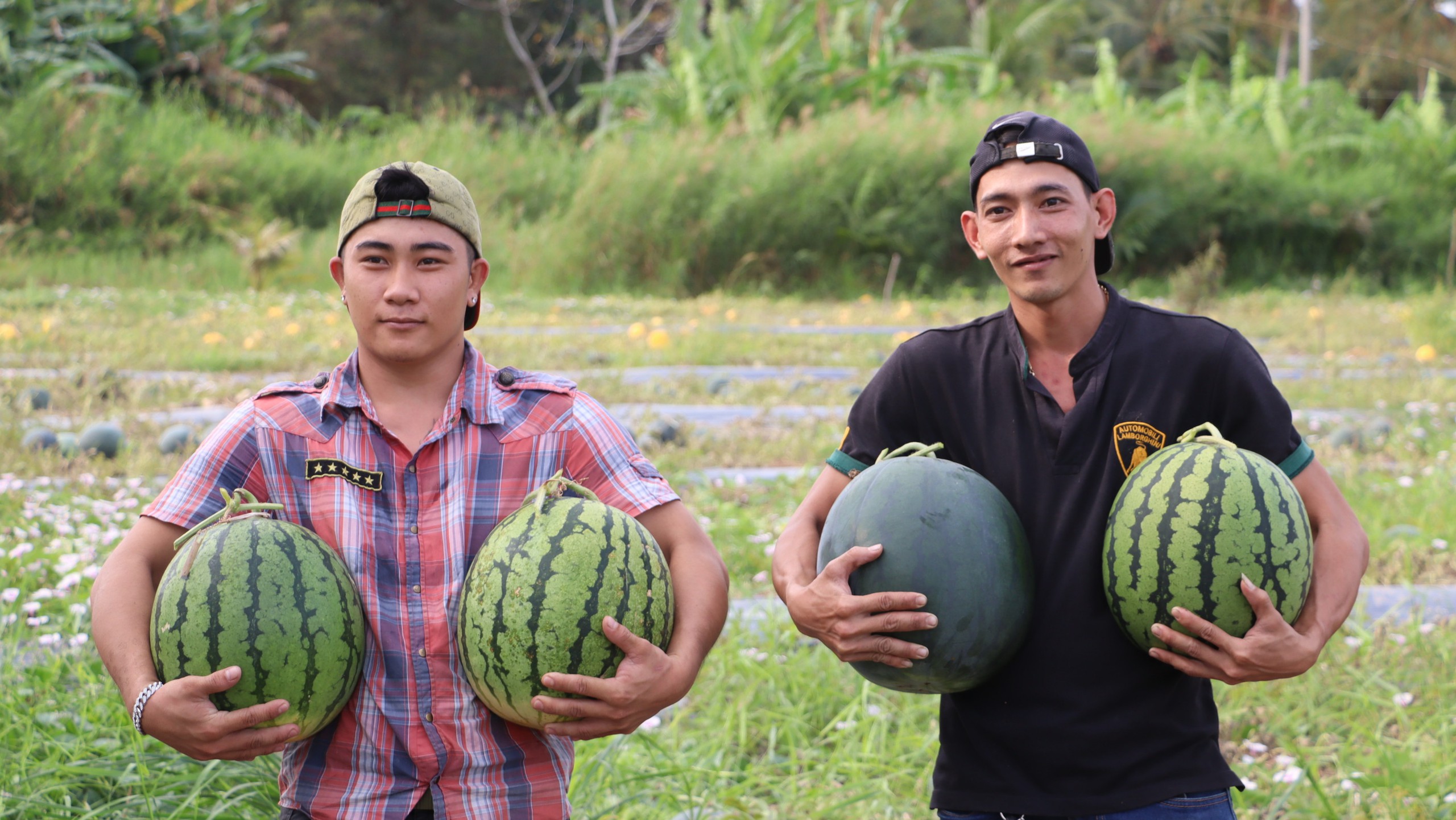 N&ocirc;ng d&acirc;n miền T&acirc;y phấn khởi thu hoạch dưa hấu đ&oacute;n Tết- Ảnh 5.