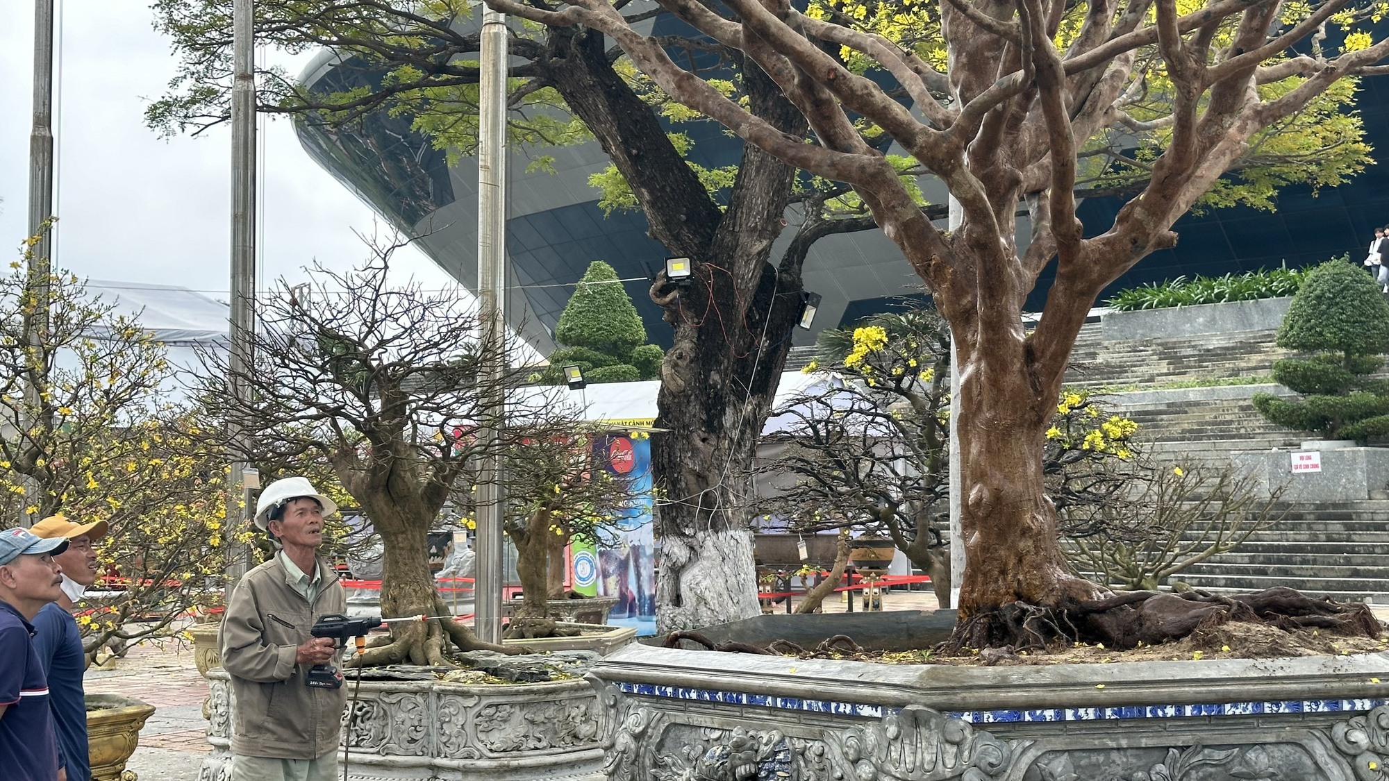 Chiêm ngưỡng những Chiêm ngưỡng những