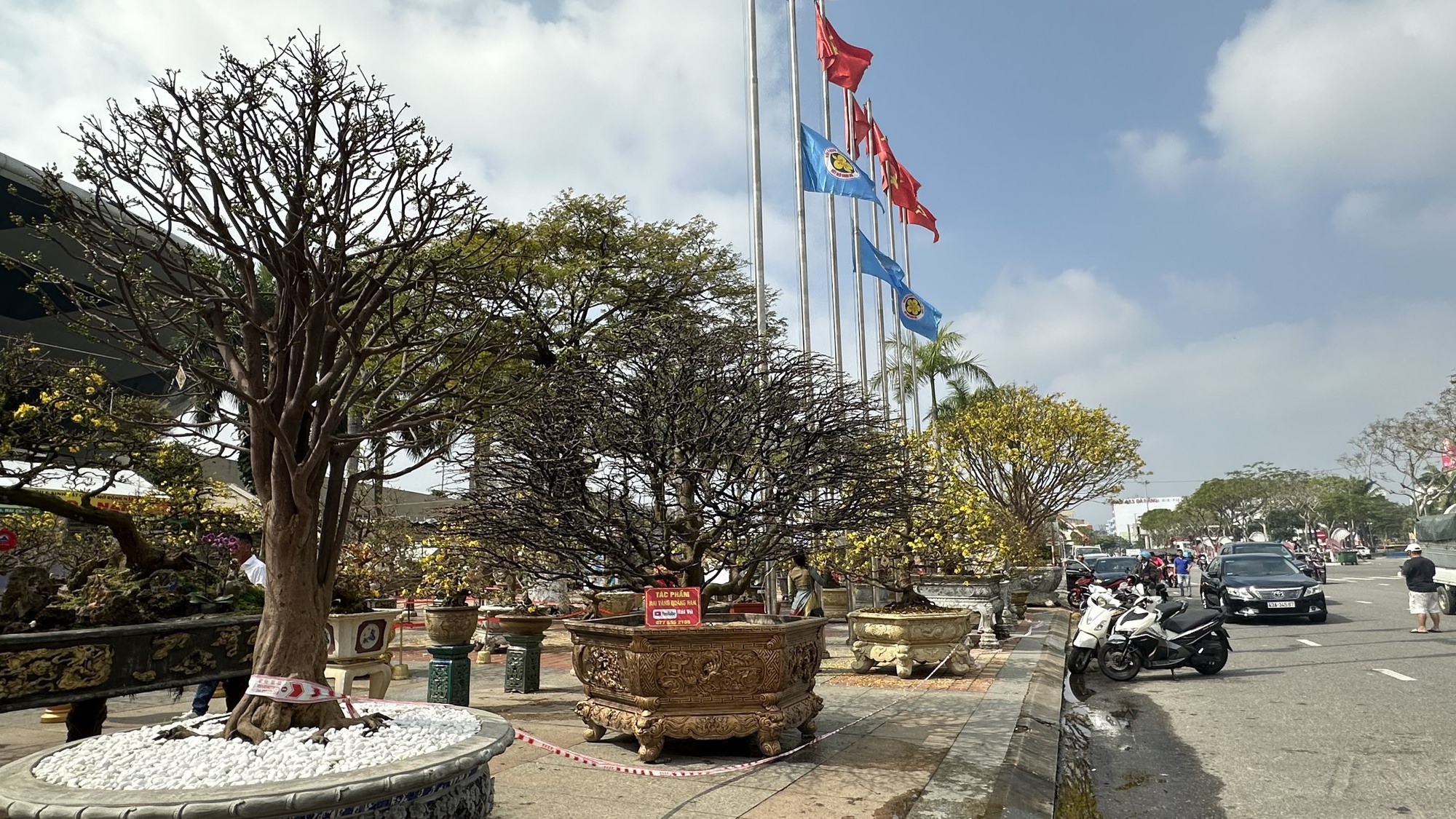 Chiêm ngưỡng những Chiêm ngưỡng những