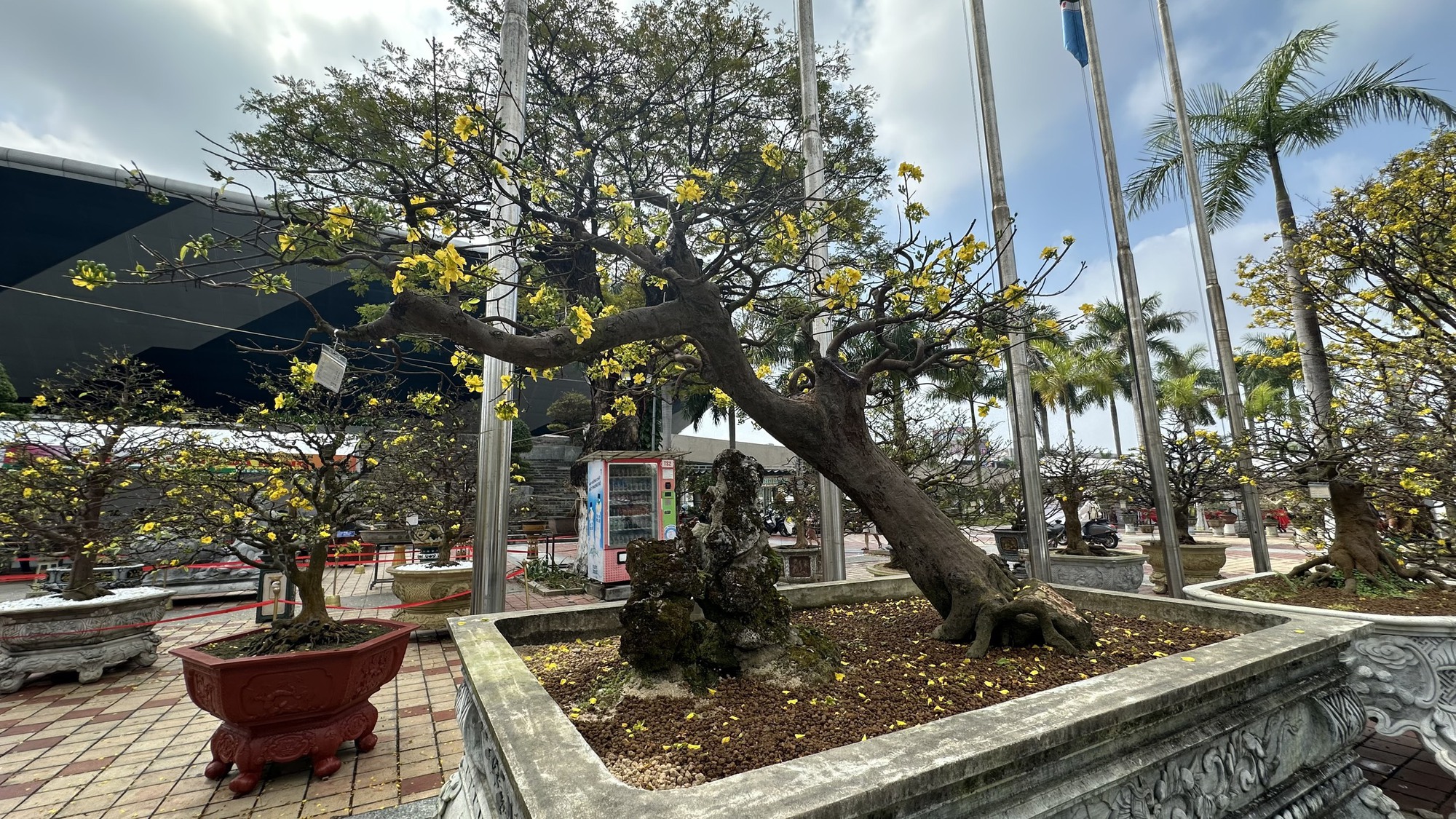 Chiêm ngưỡng những Chiêm ngưỡng những