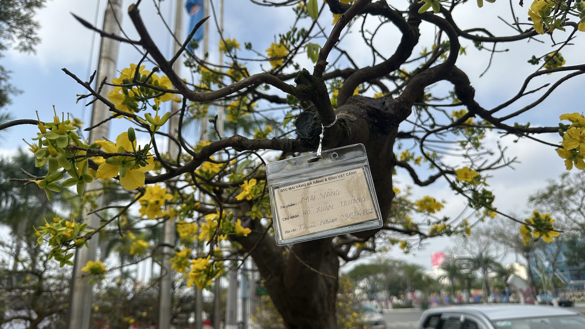 Chiêm ngưỡng những Chiêm ngưỡng những