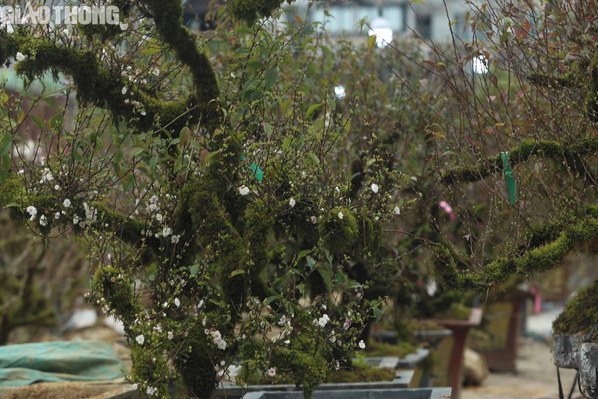 Điều chưa biết về Điều chưa biết về