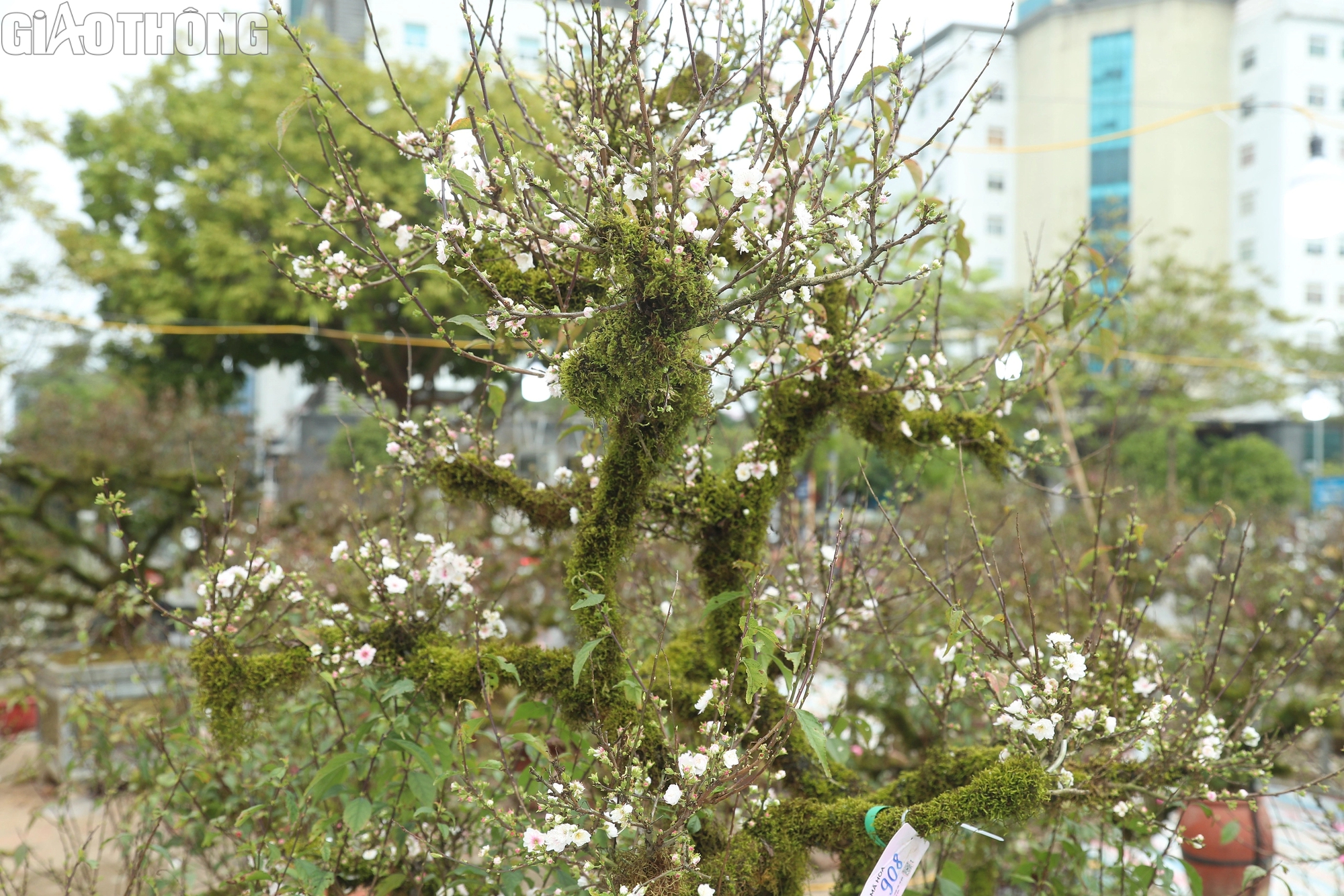 Điều chưa biết về Điều chưa biết về