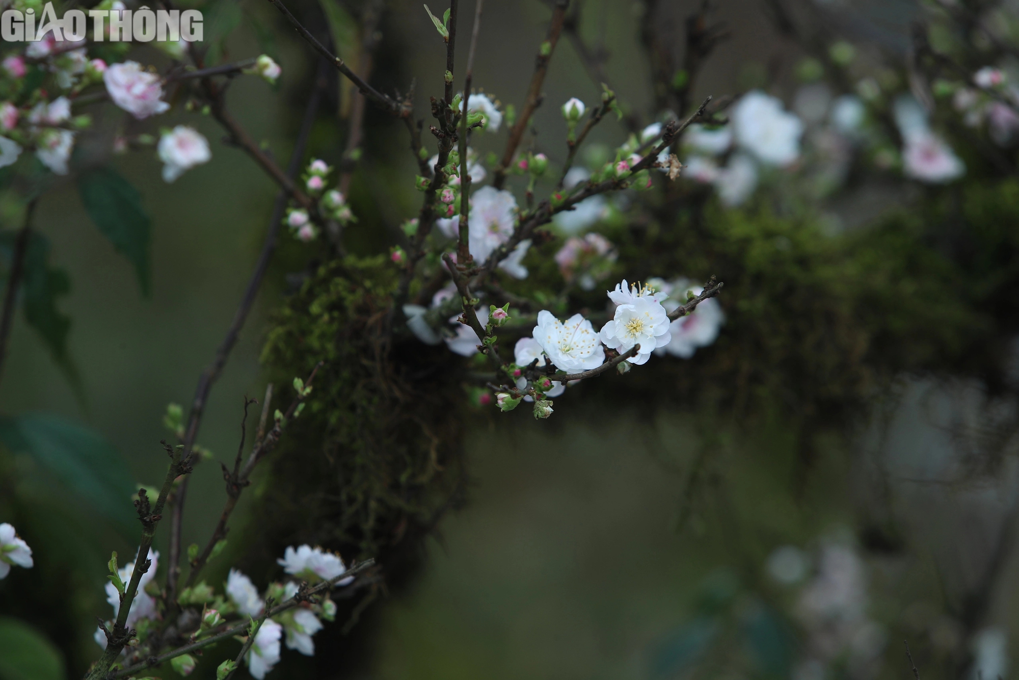 Điều chưa biết về Điều chưa biết về