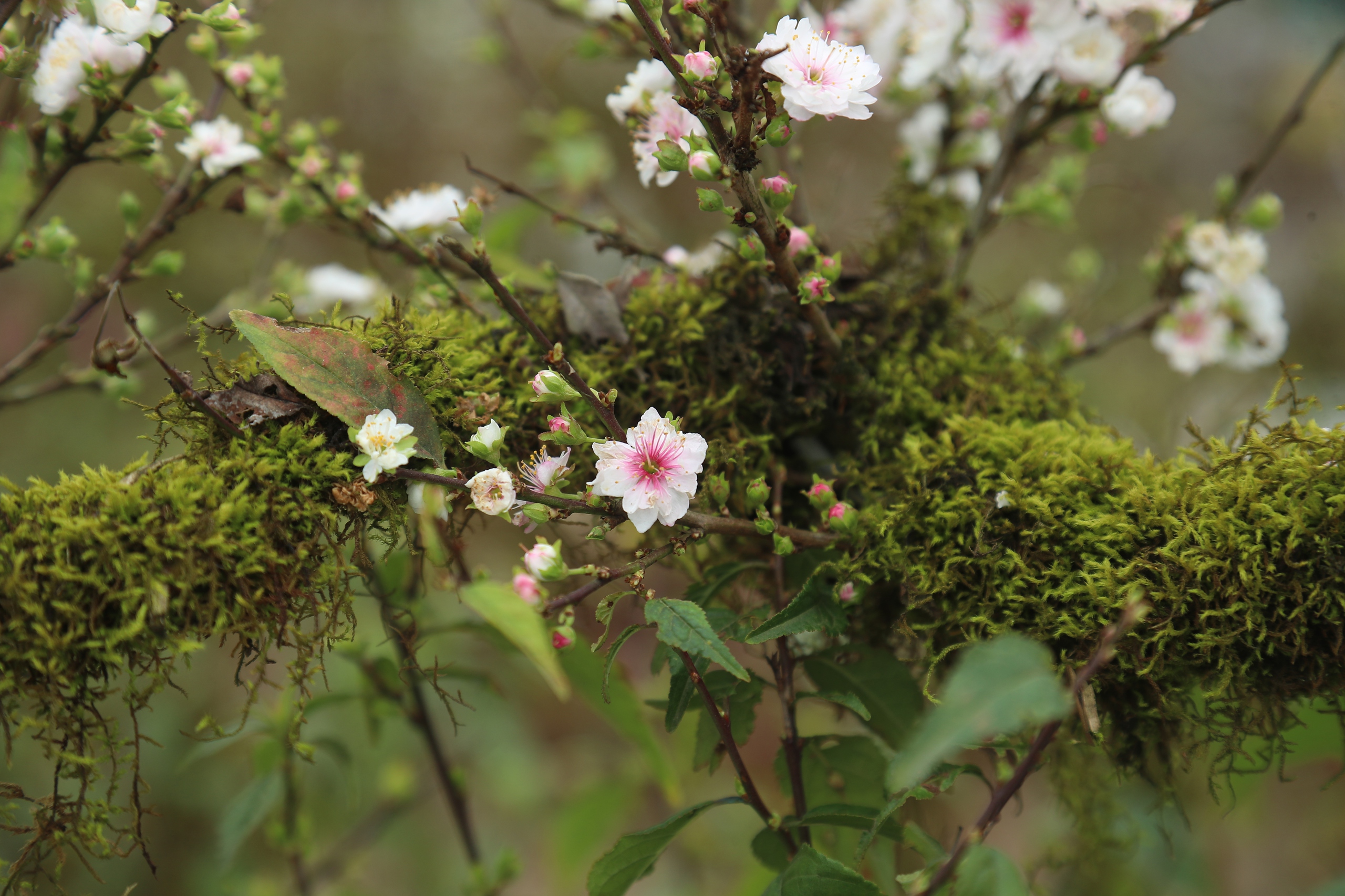 Điều chưa biết về Điều chưa biết về