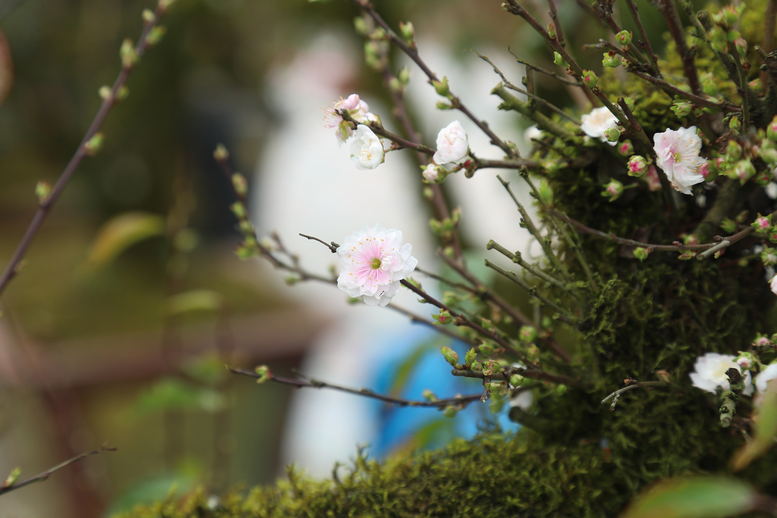 Điều chưa biết về Điều chưa biết về