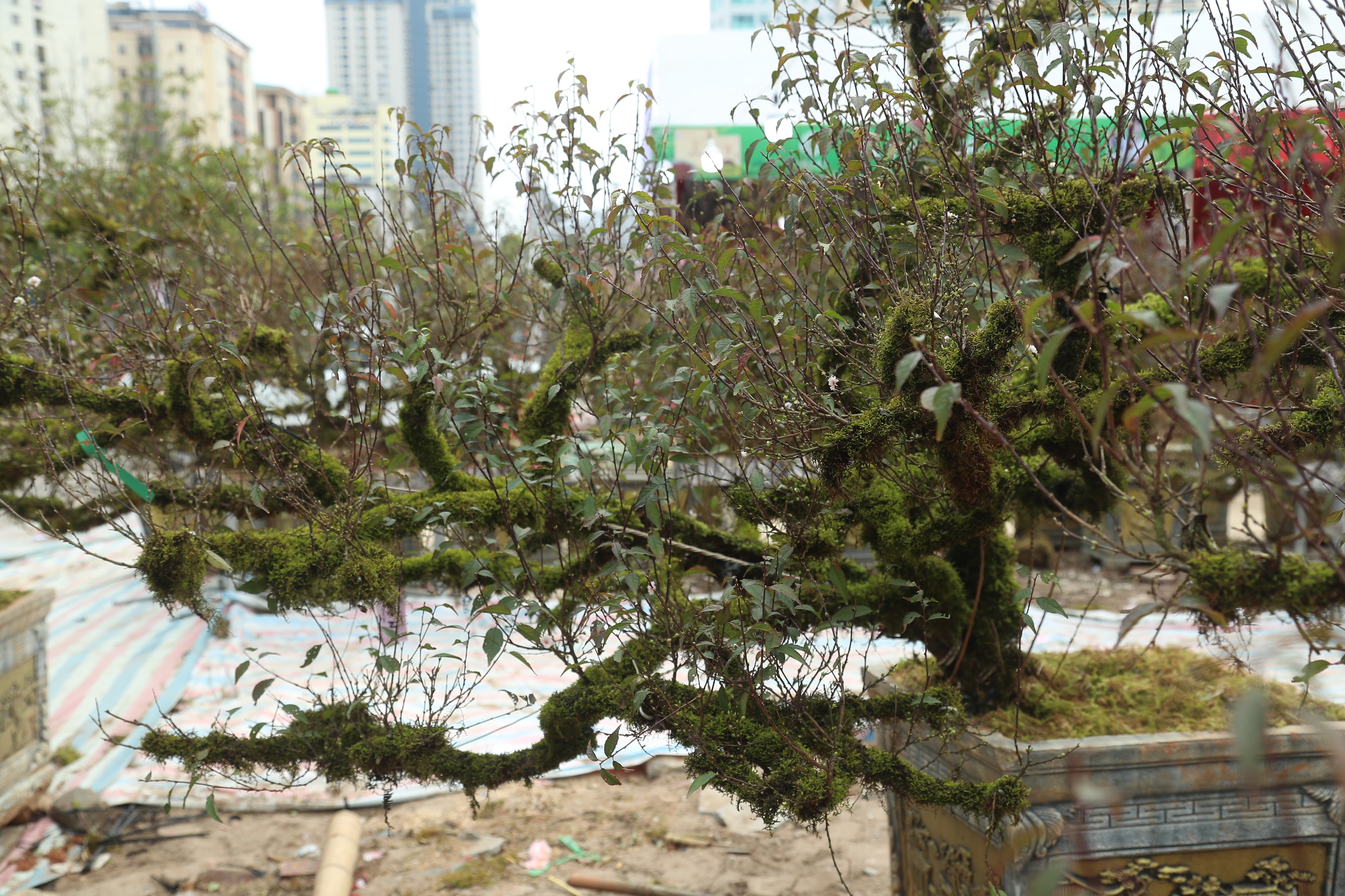 Điều chưa biết về Điều chưa biết về