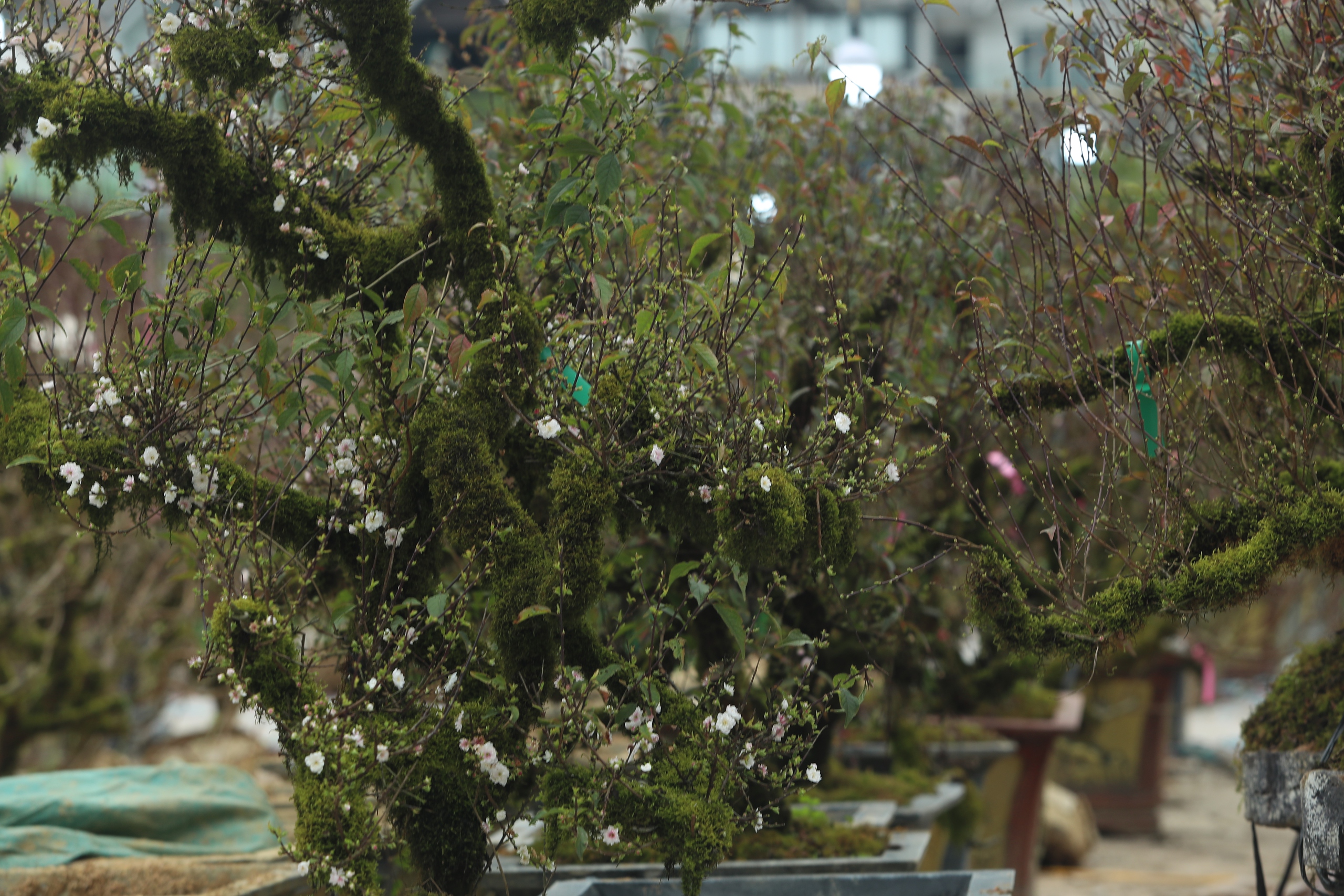 Điều chưa biết về Điều chưa biết về