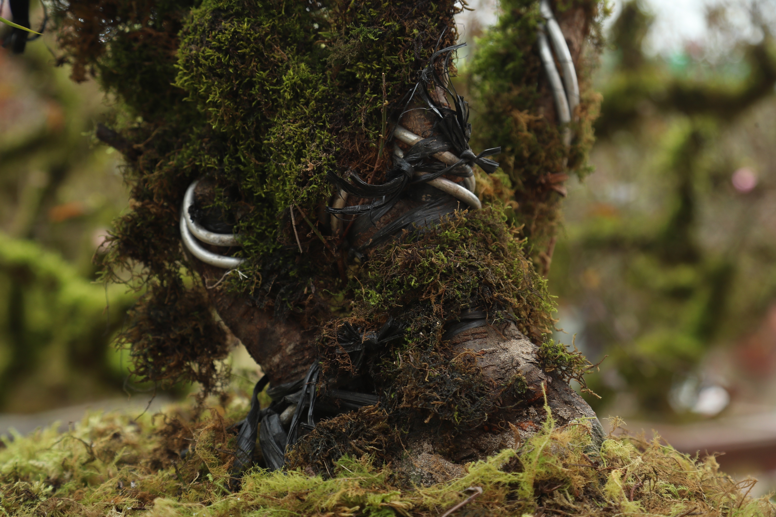 Điều chưa biết về Điều chưa biết về