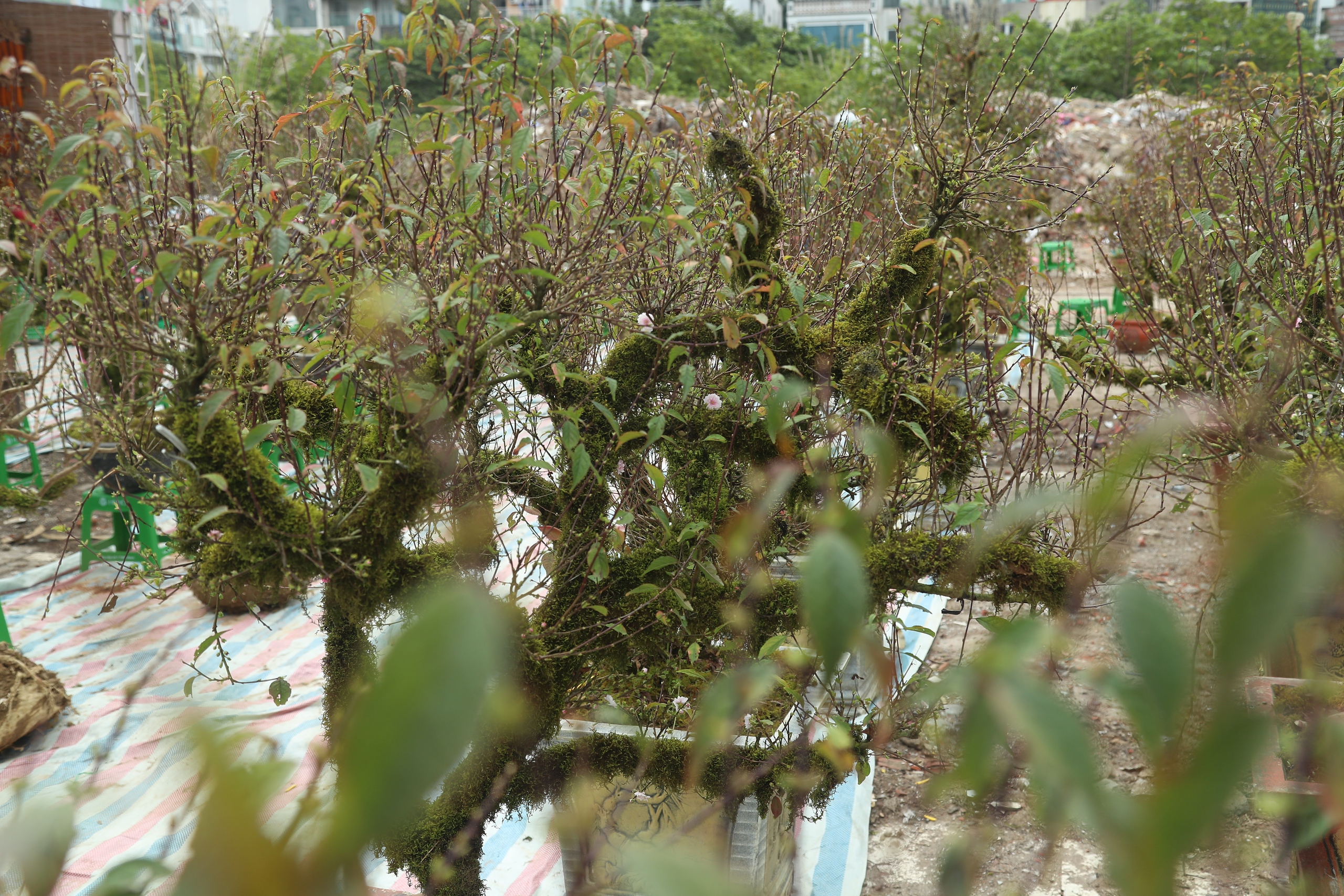 Điều chưa biết về Điều chưa biết về