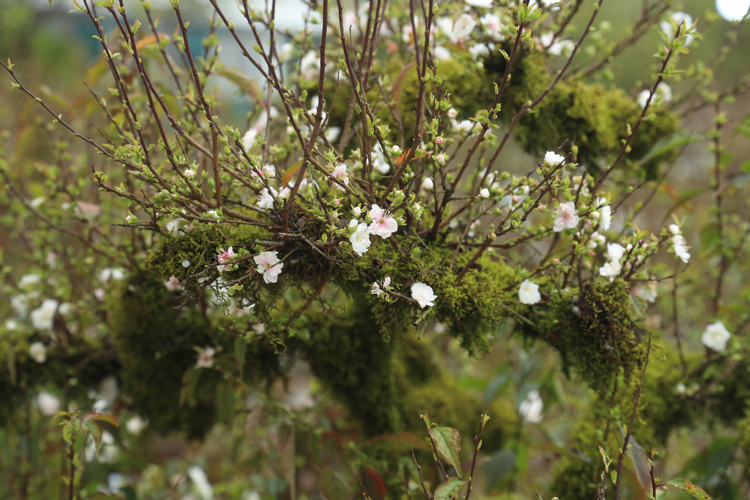 Điều chưa biết về Điều chưa biết về