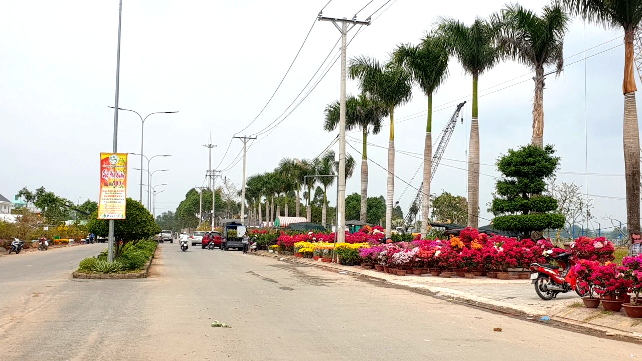 Chợ hoa miễn phí mặt bằng ở Cần Thơ không còn chỗ trống, tấp nập mua bán- Ảnh 7. Chợ hoa miễn phí mặt bằng ở Cần Thơ không còn chỗ trống, tấp nập mua bán- Ảnh 7.