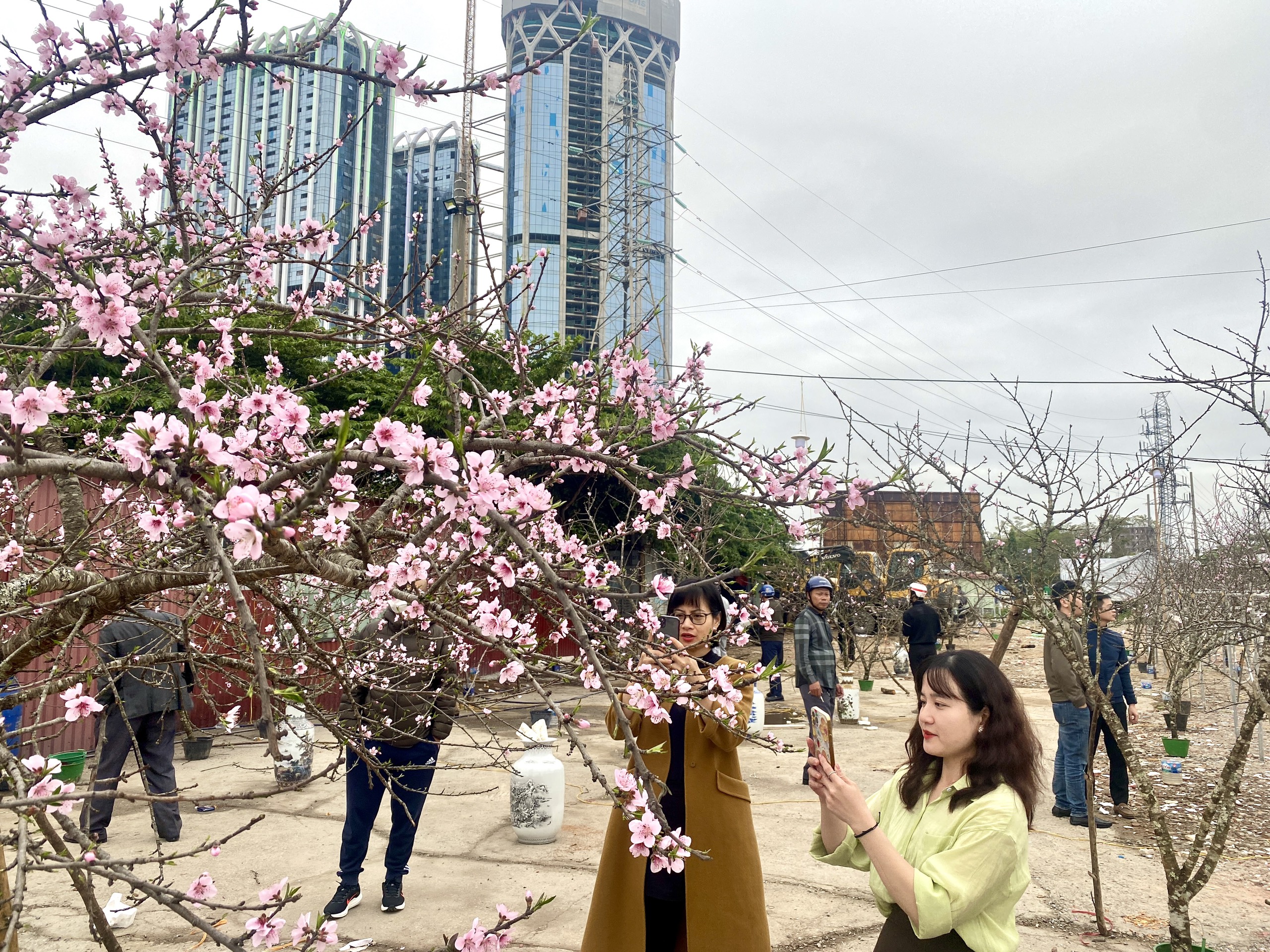 Phố phường Hải Ph&ograve;ng 