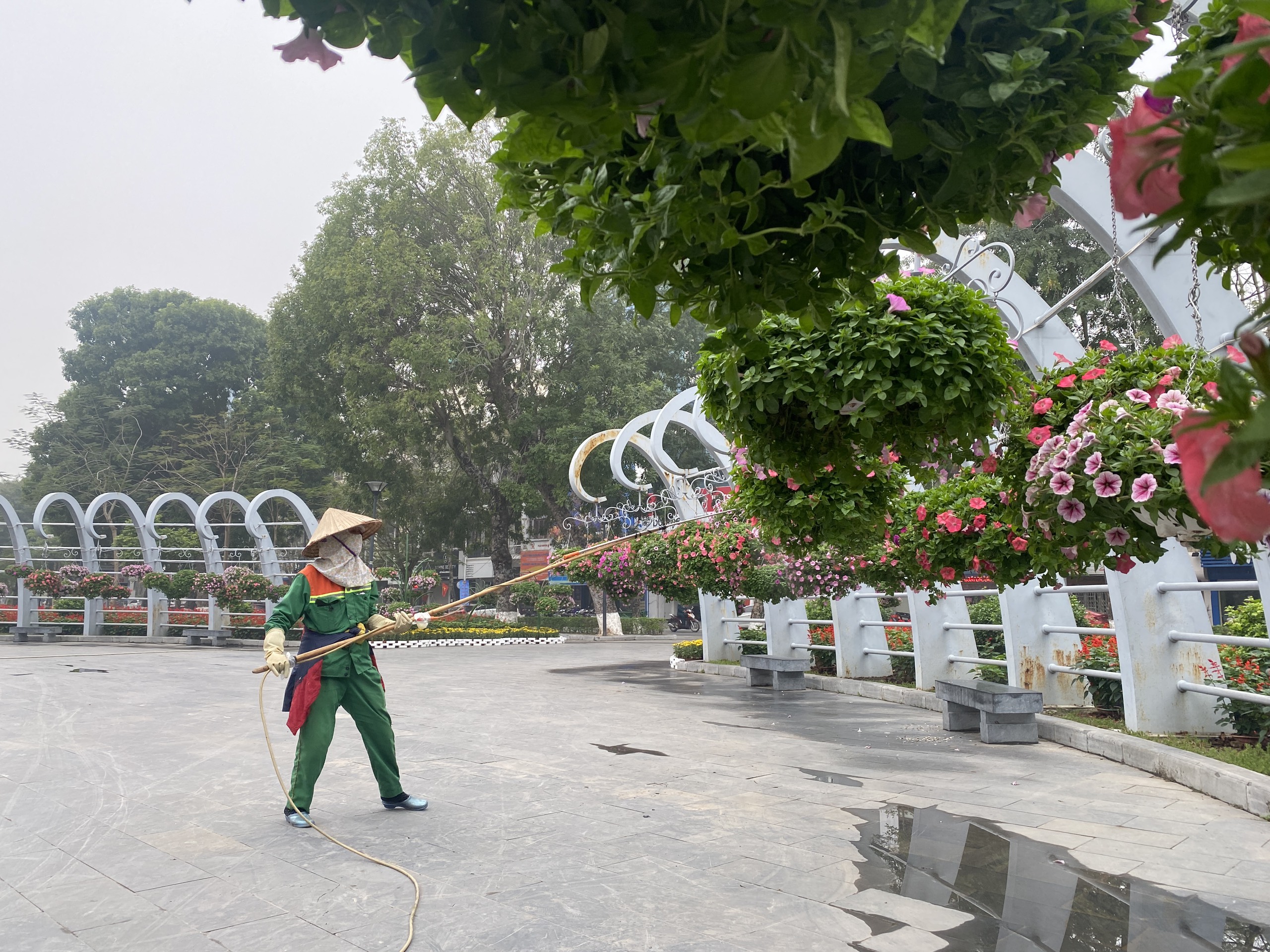 Phố phường Hải Ph&ograve;ng 