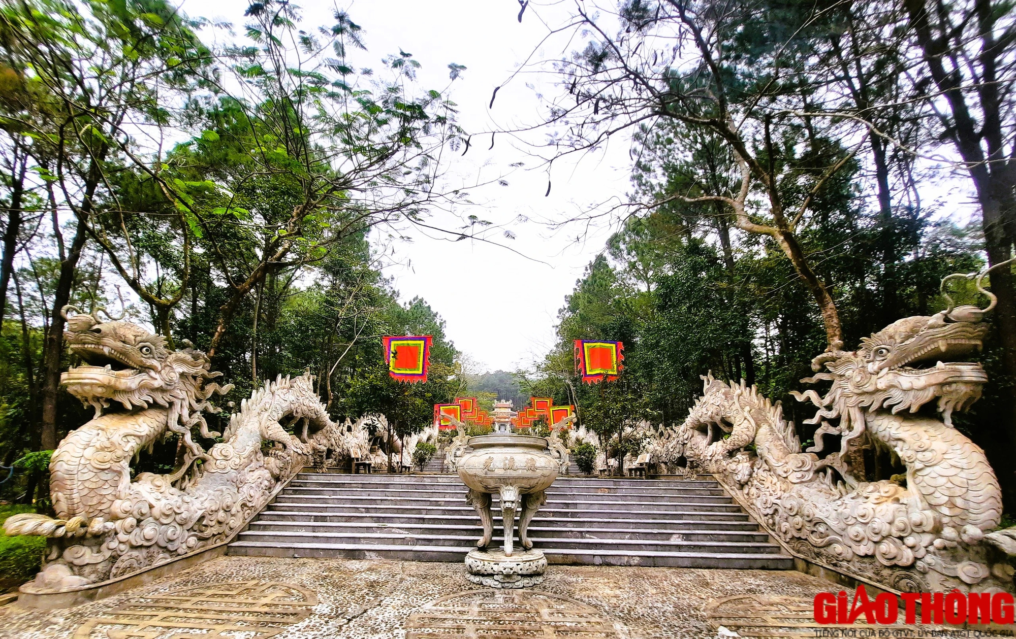 Tận thấy đôi rồng xác lập kỷ lục dài nhất Việt Nam trên núi Ngũ Phong 15 năm trước- Ảnh 5. Tận thấy đôi rồng xác lập kỷ lục dài nhất Việt Nam trên núi Ngũ Phong 15 năm trước- Ảnh 5.