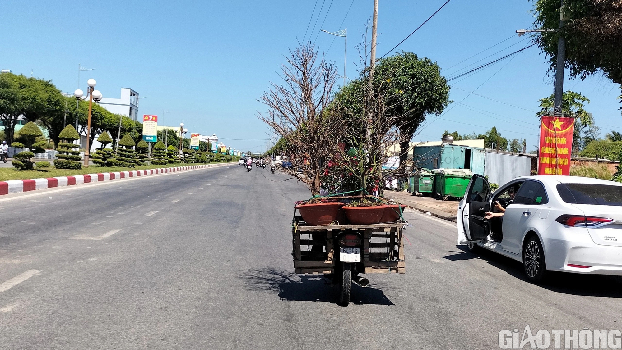 Dịch vụ chở thu&ecirc; hoa kiểng ở Bạc Li&ecirc;u ăn n&ecirc;n l&agrave;m ra dịp Tết- Ảnh 2.