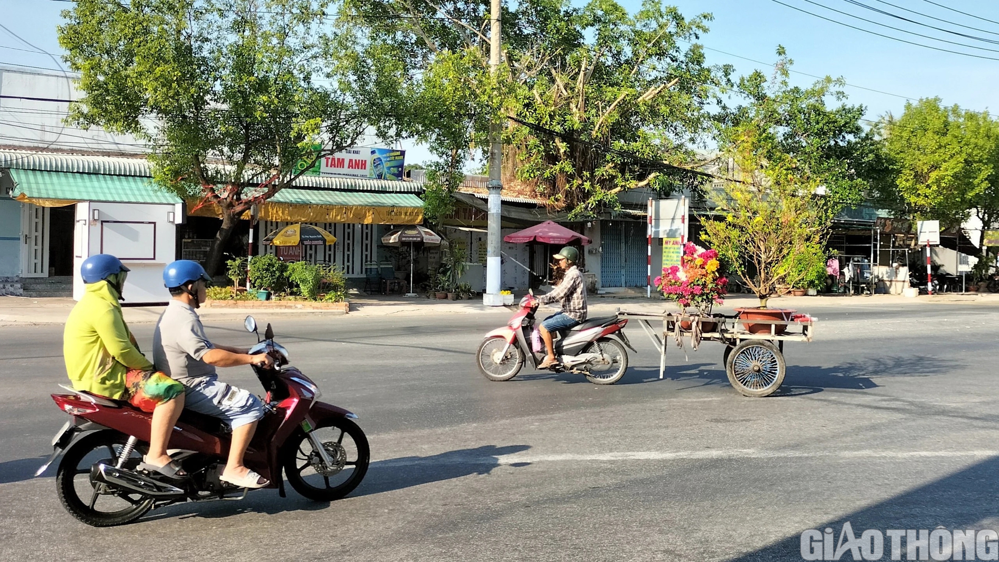 Dịch vụ chở thu&ecirc; hoa kiểng ở Bạc Li&ecirc;u ăn n&ecirc;n l&agrave;m ra dịp Tết- Ảnh 4.
